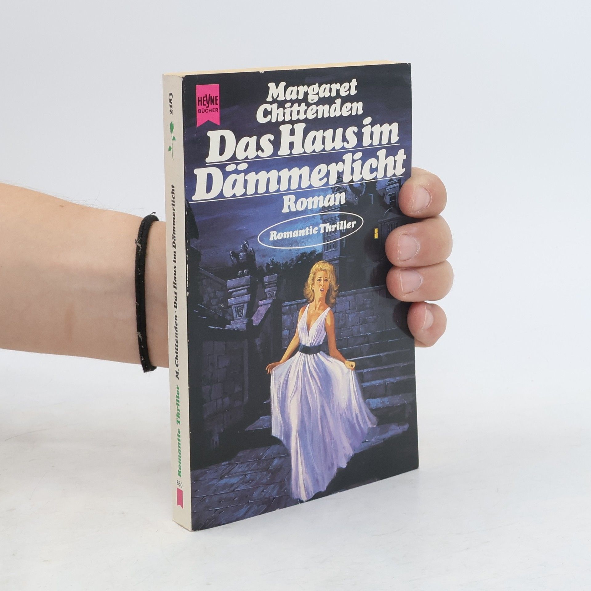 Das Haus im Dämmerlicht