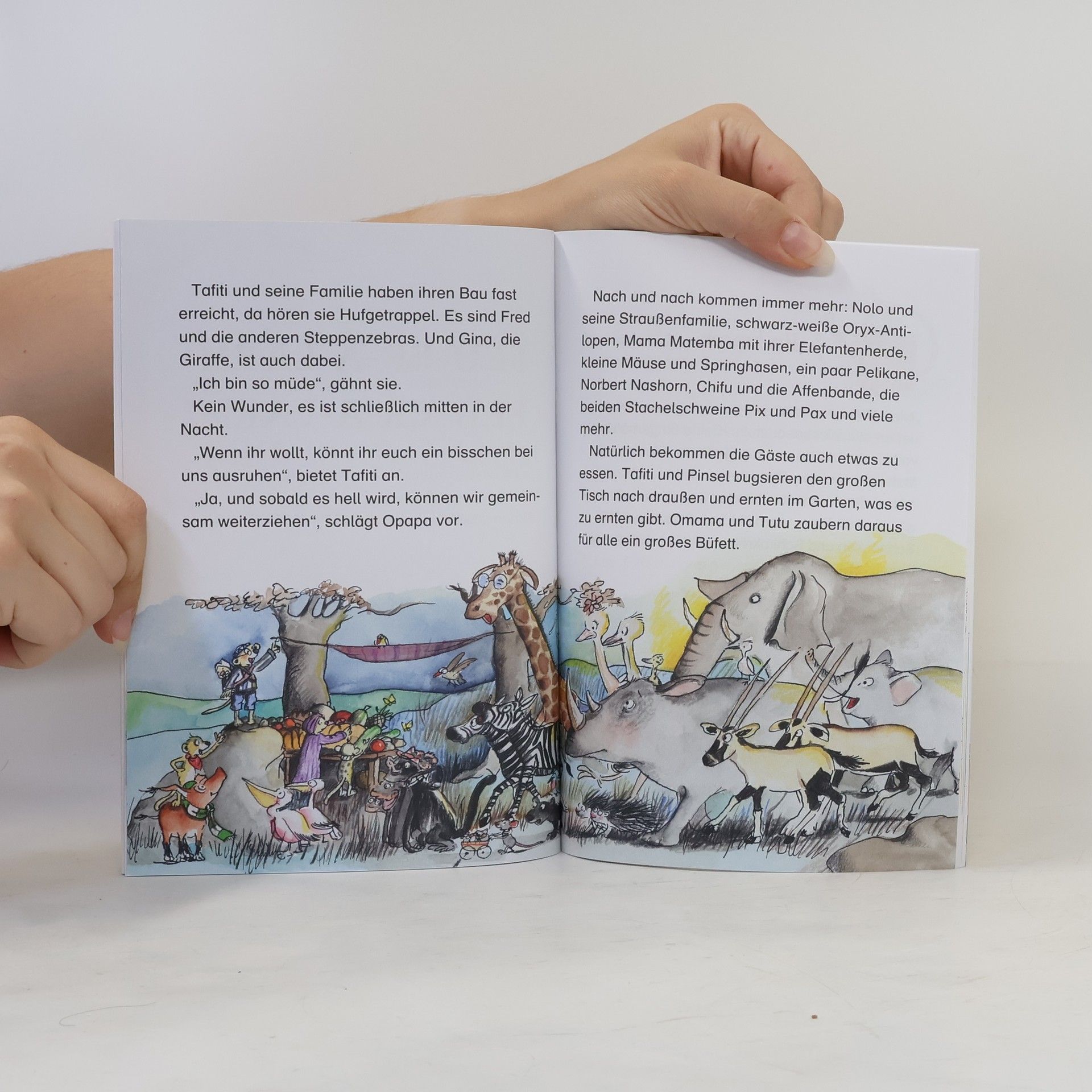 Julia Boehme Tafiti und das grosse Feuer
