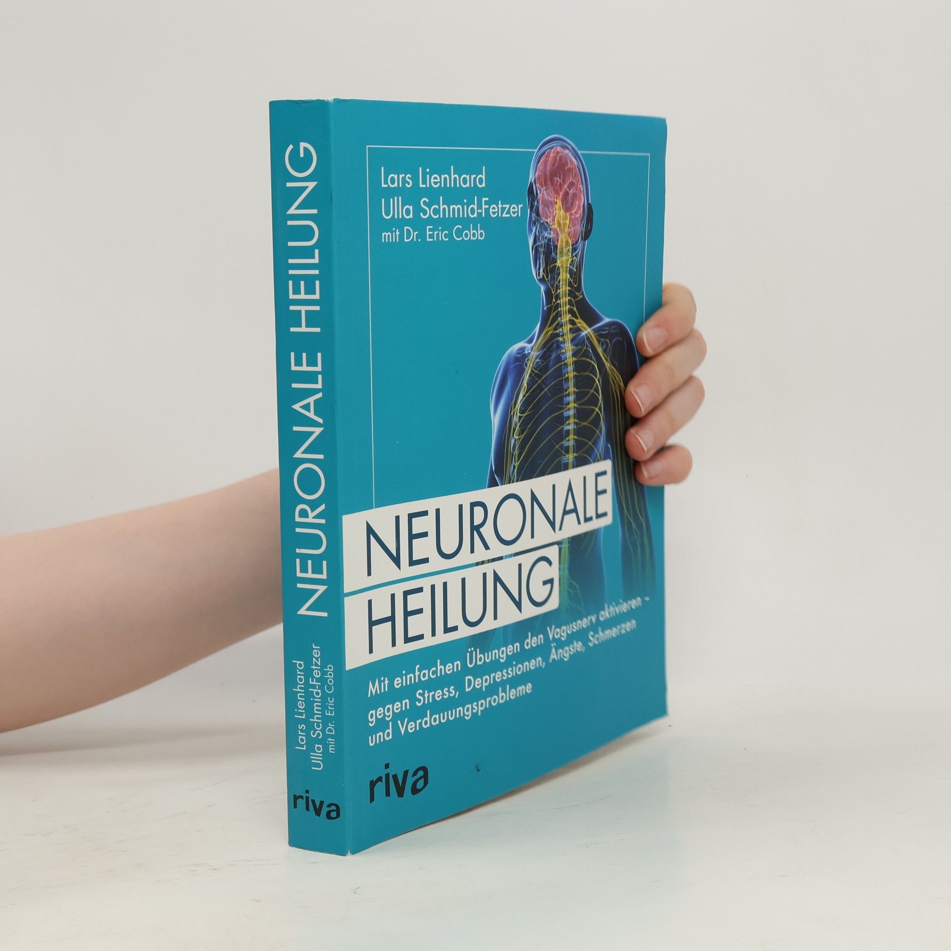Neuronale Heilung