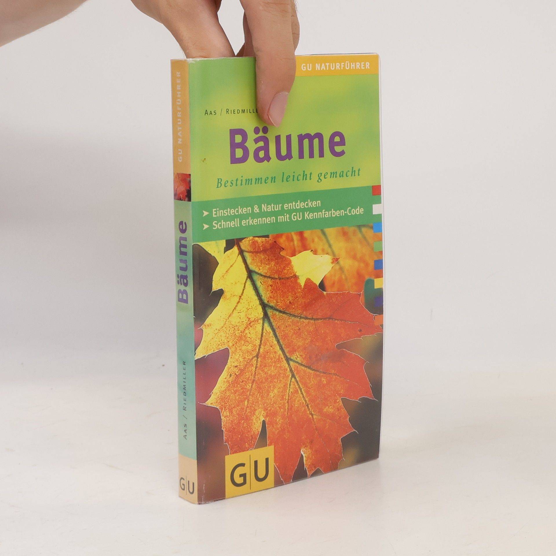 Bäume. Bestimmen leicht gemacht