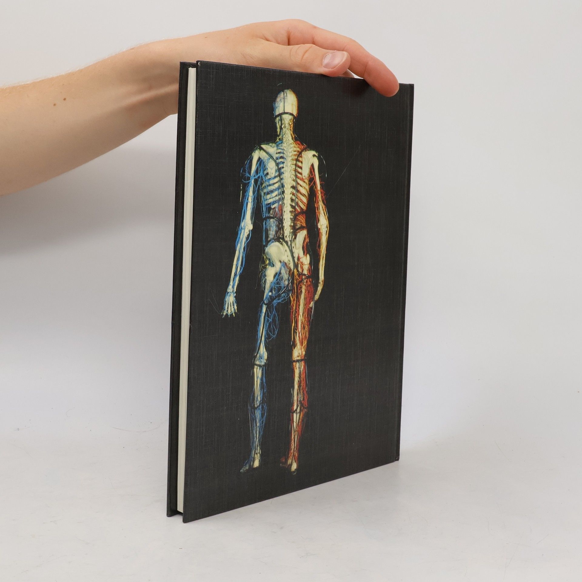 Johannes Petrus Schade Anatomischer Atlas des Menschen