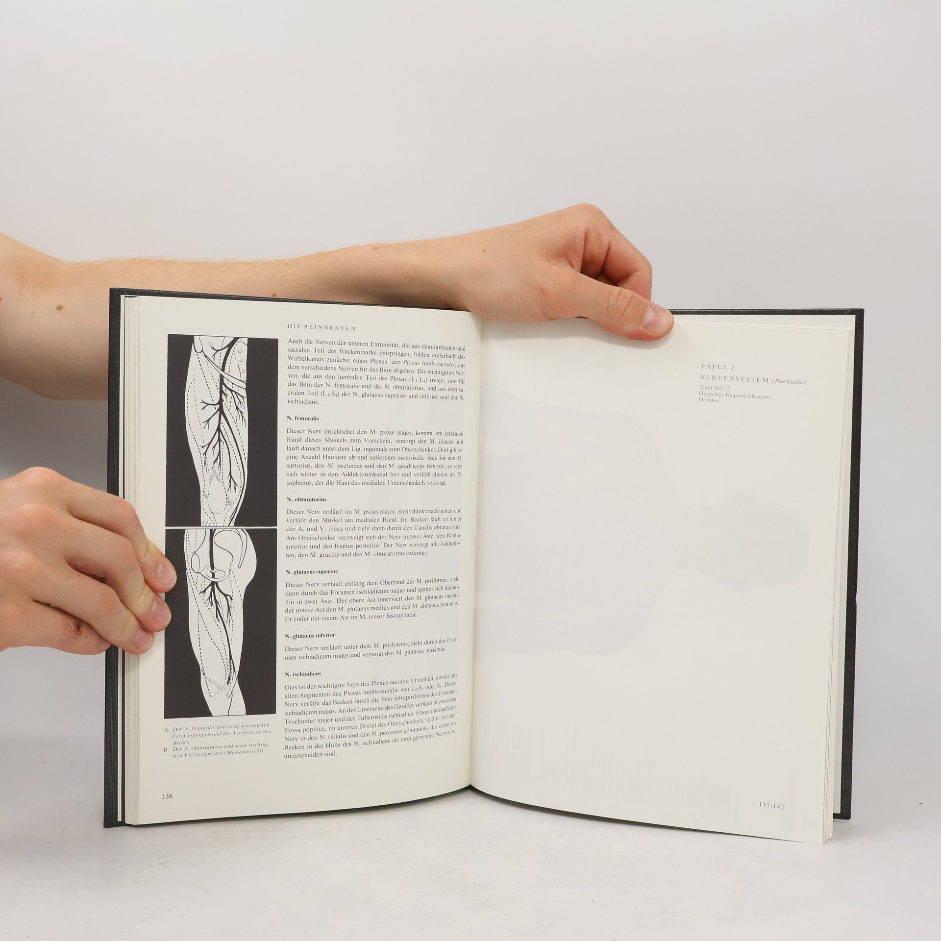 Johannes Petrus Schade Anatomischer Atlas des Menschen