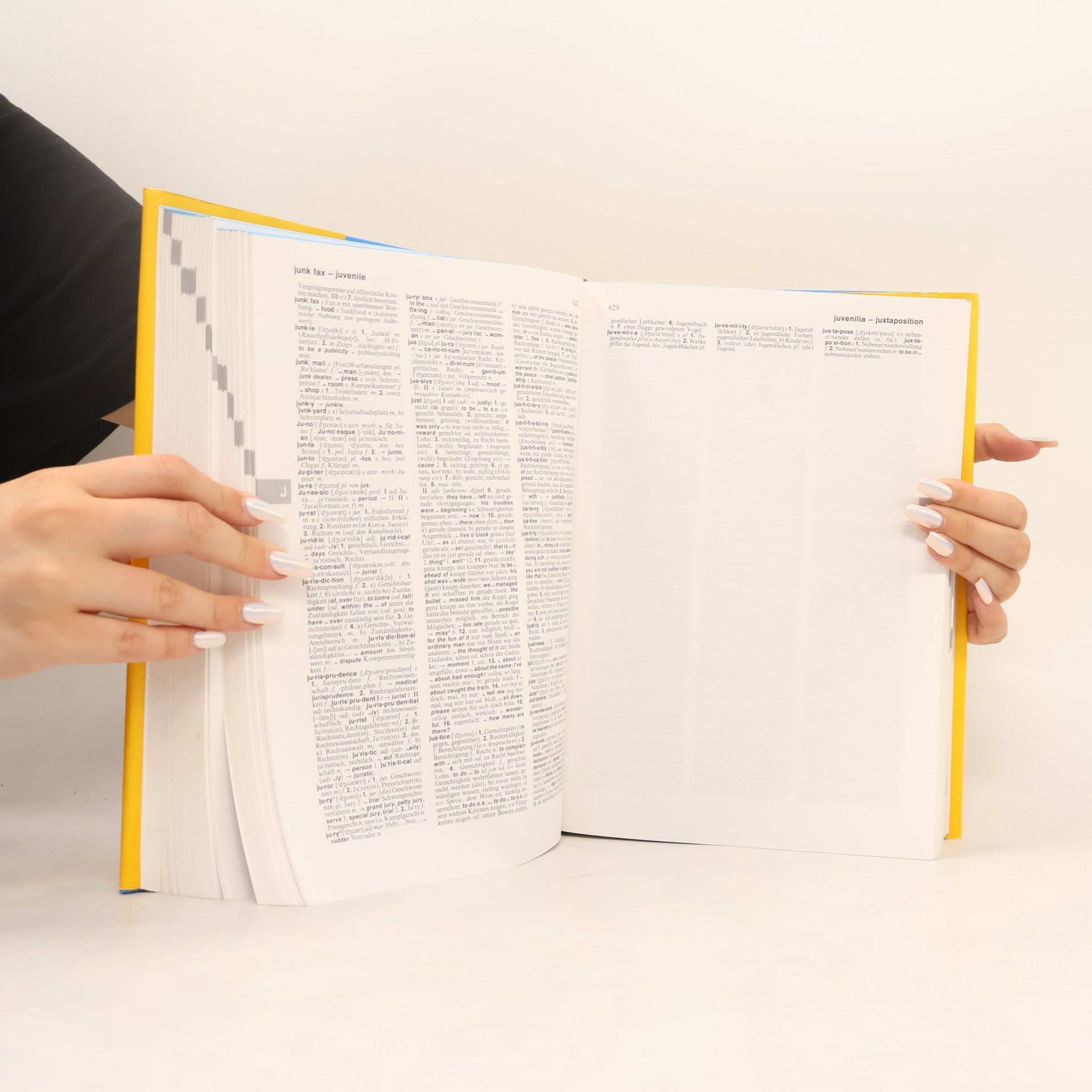 Helmut Willmann Langenscheidts Großwörterbuch Englisch