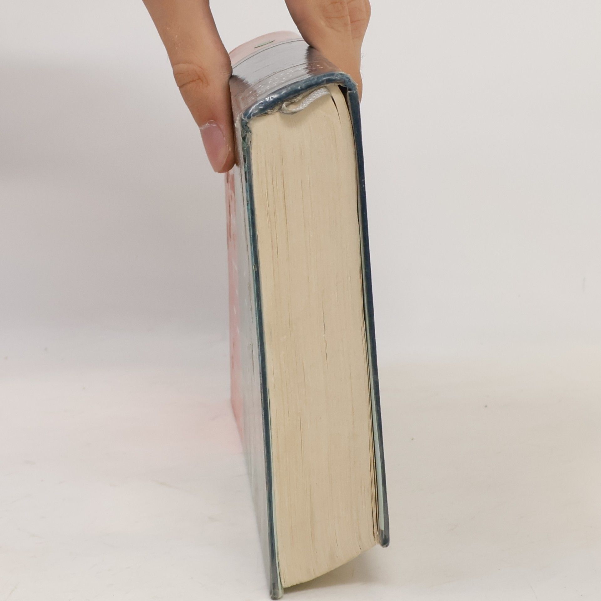 Anne Michaels Flucht Stücke
