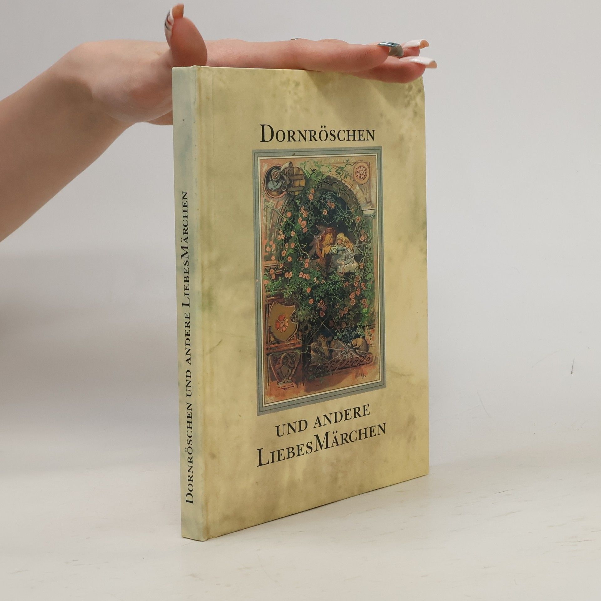 Autorenkollektiv Dornröschen und andere Liebesmärchen
