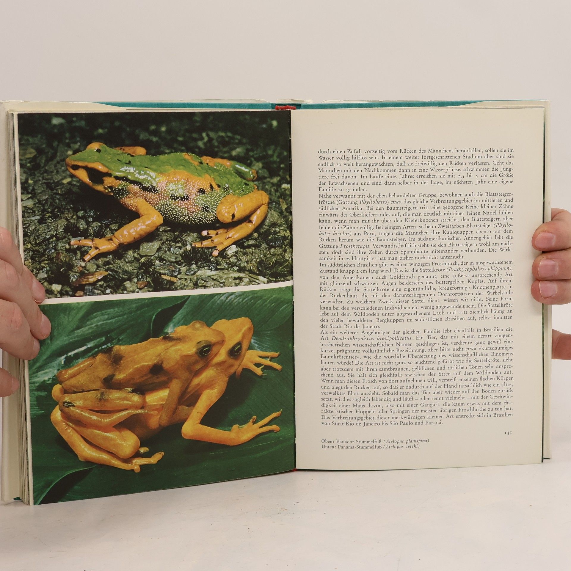 Various authors Knaurs Tierreich in Farben.Amphibien
