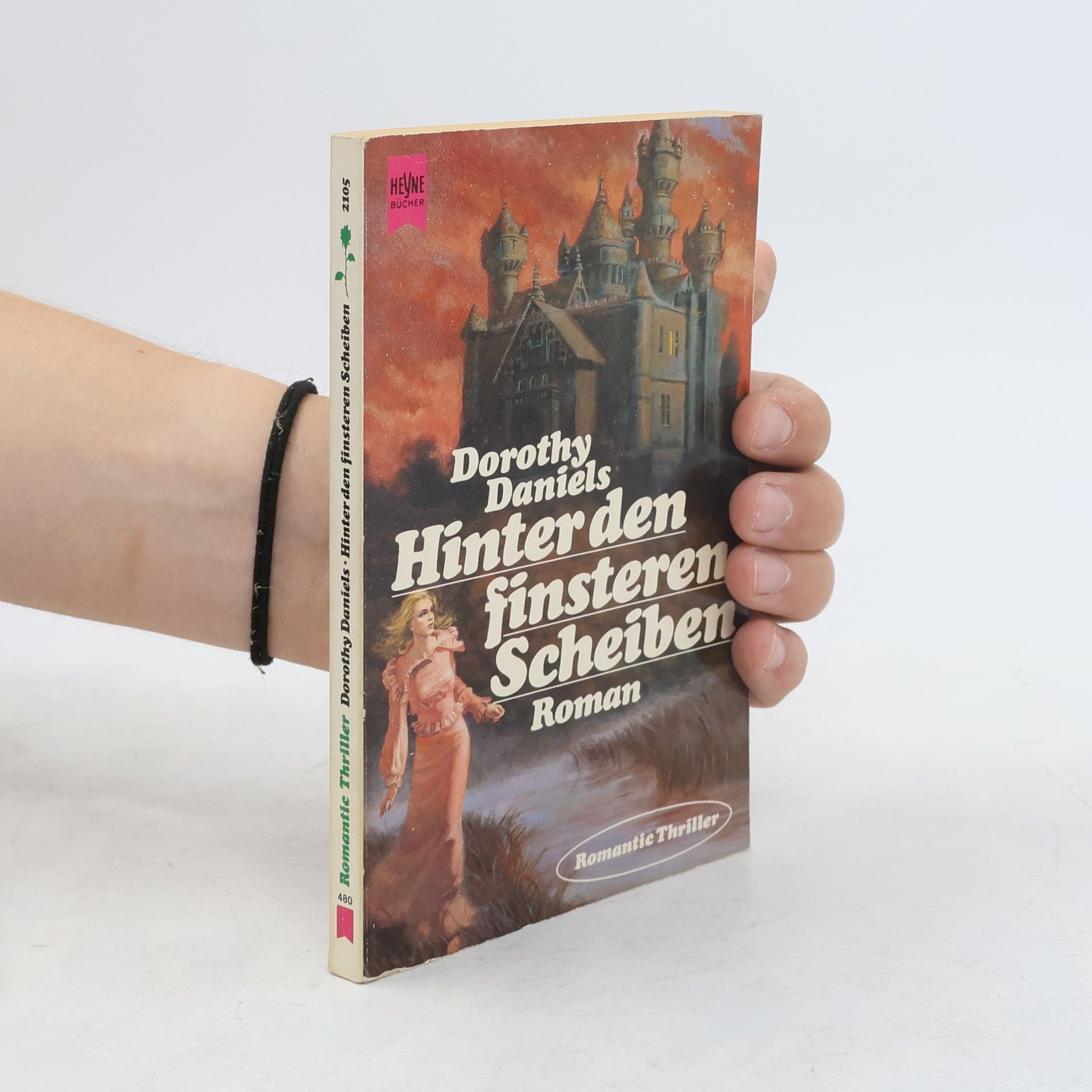 Hinter den finsteren Scheiben
