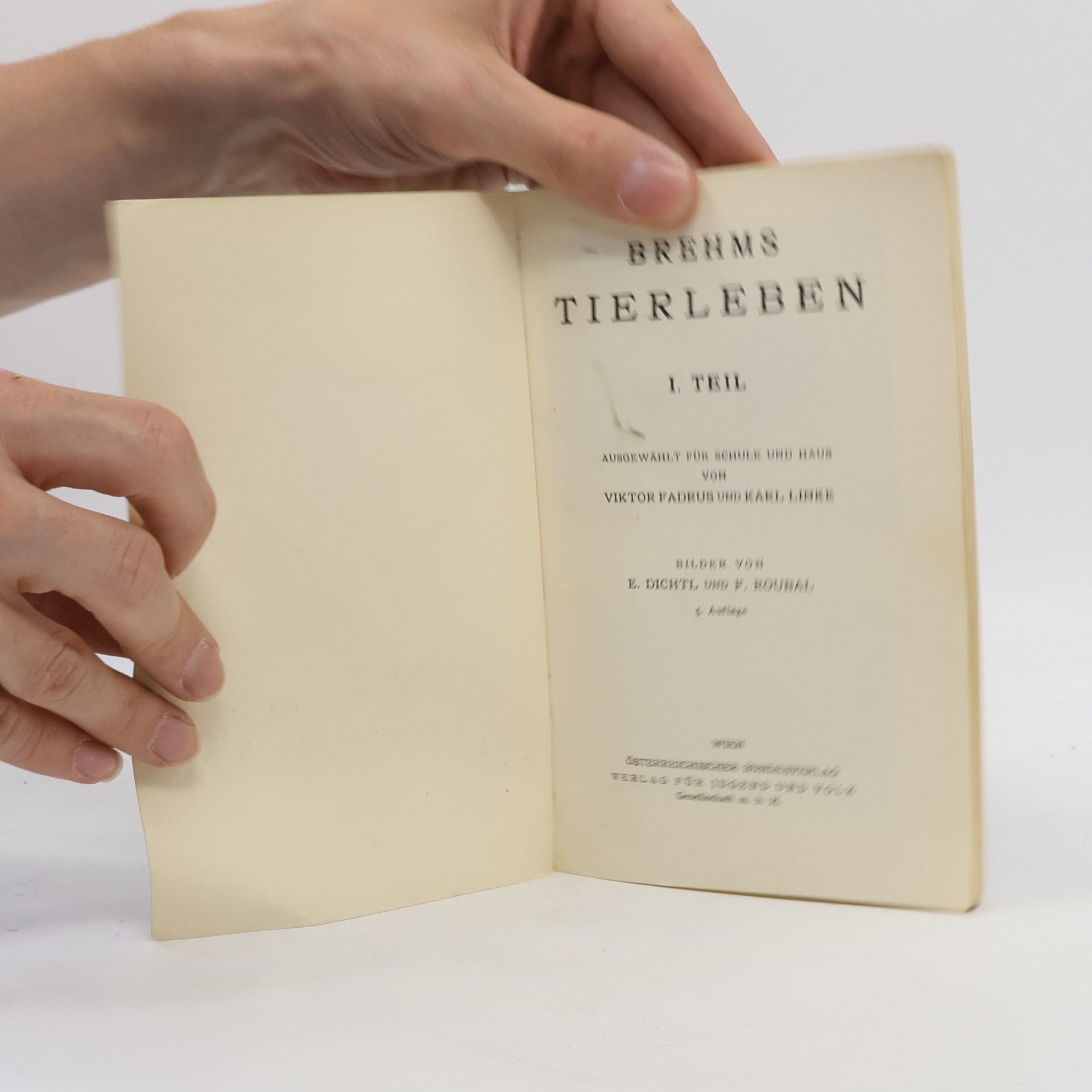 E. Dichtl Brehms Tierleben I