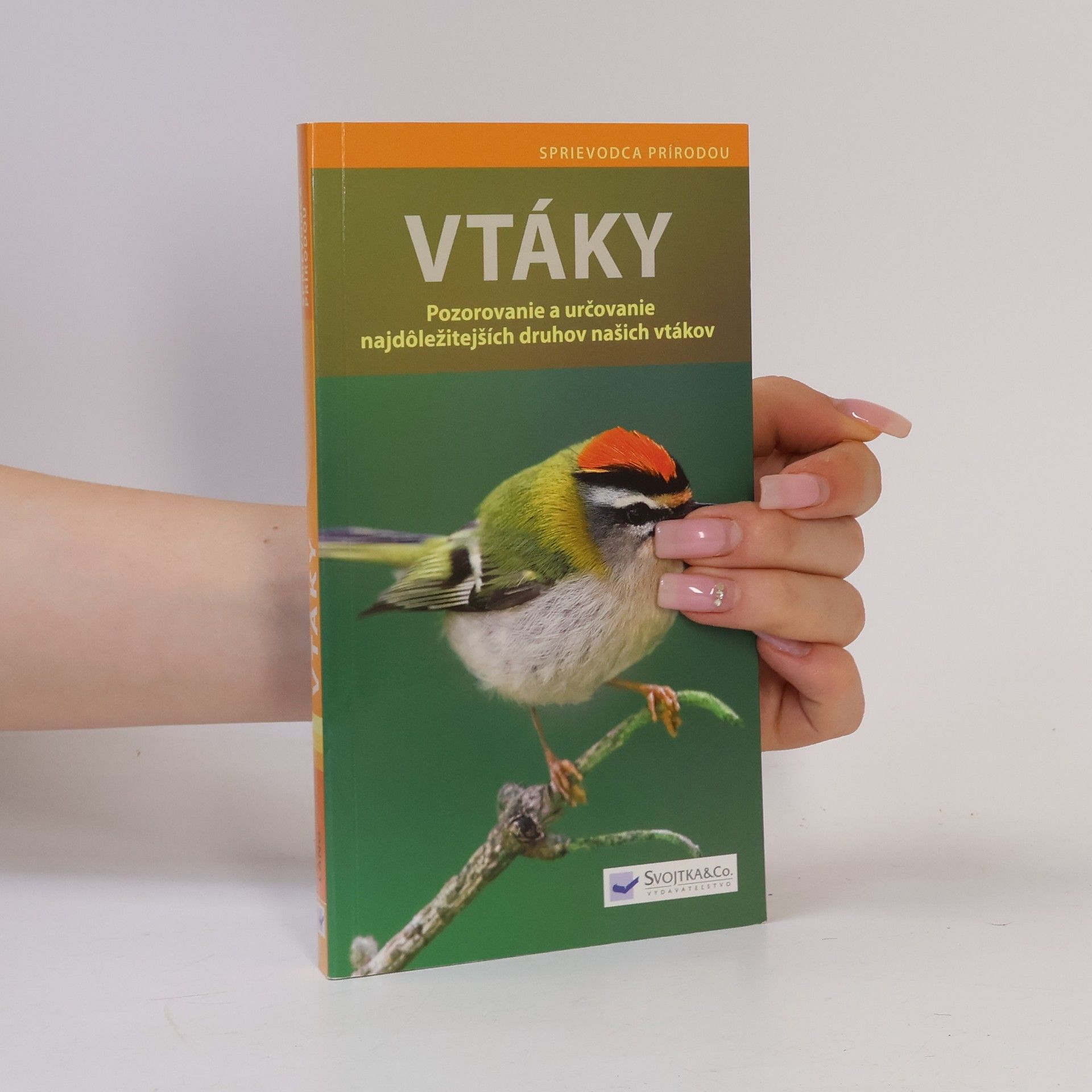 Angelika Lang Vtáky