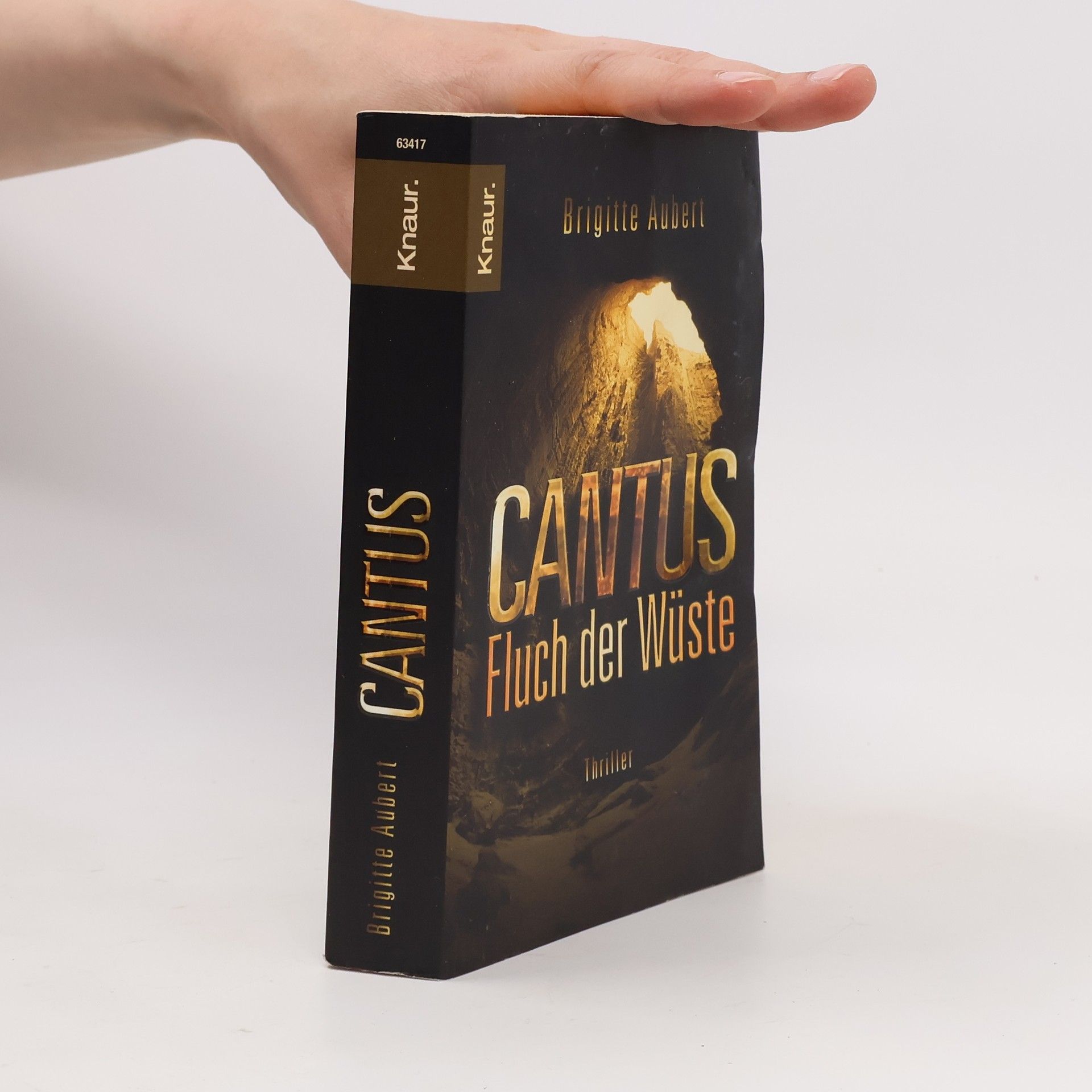 Brigitte Aubert Cantus. Fluch der Wüste