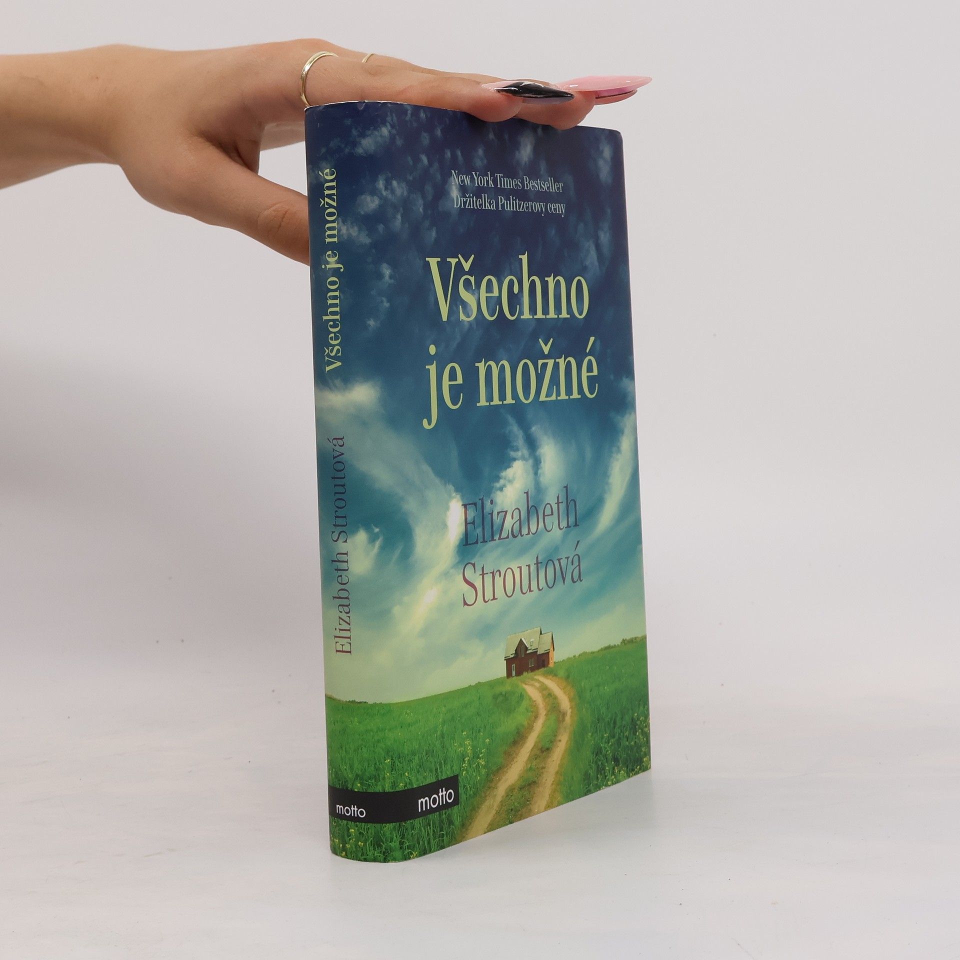 Elizabeth Strout Všechno je možné