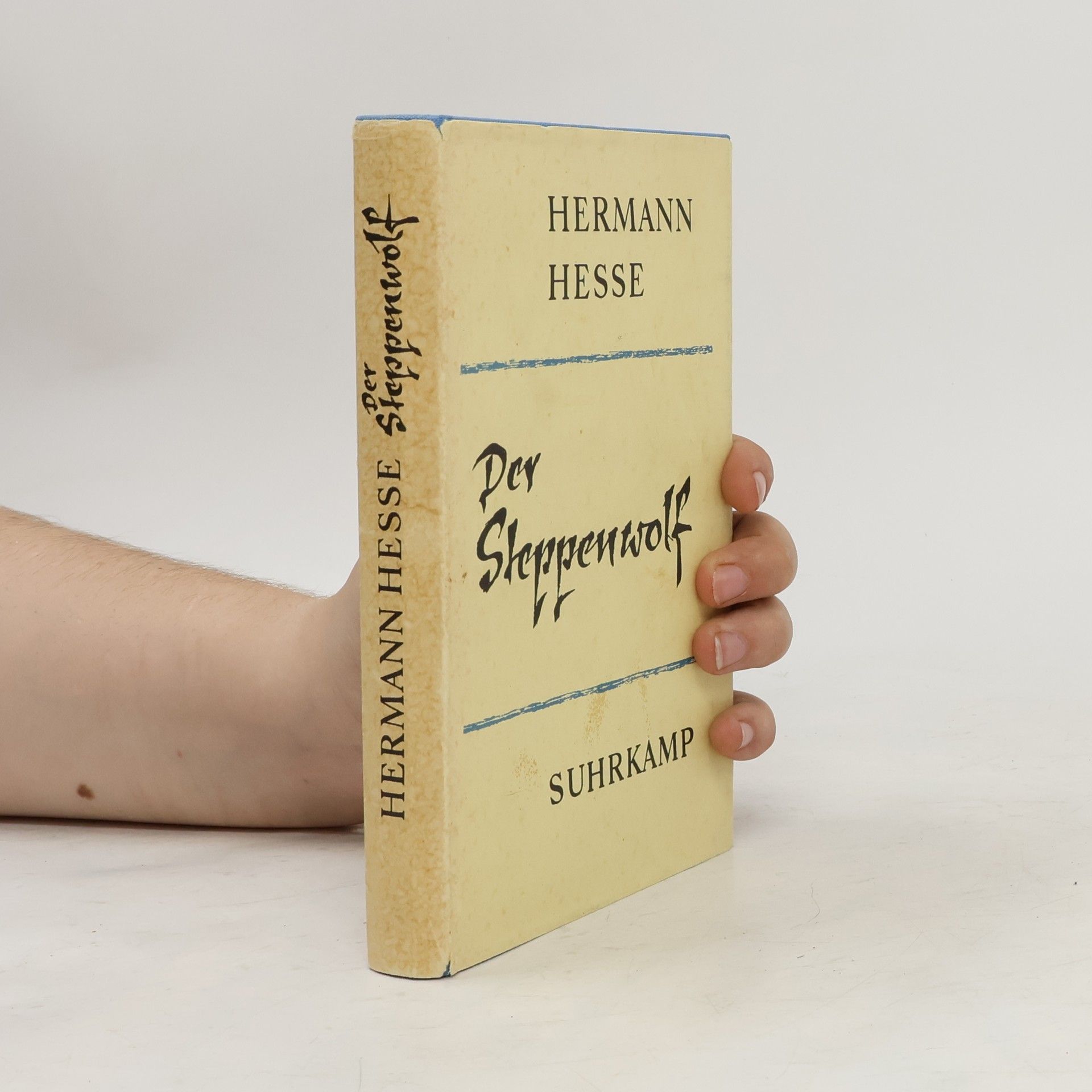 Hermann Hesse Der Steppenwolf