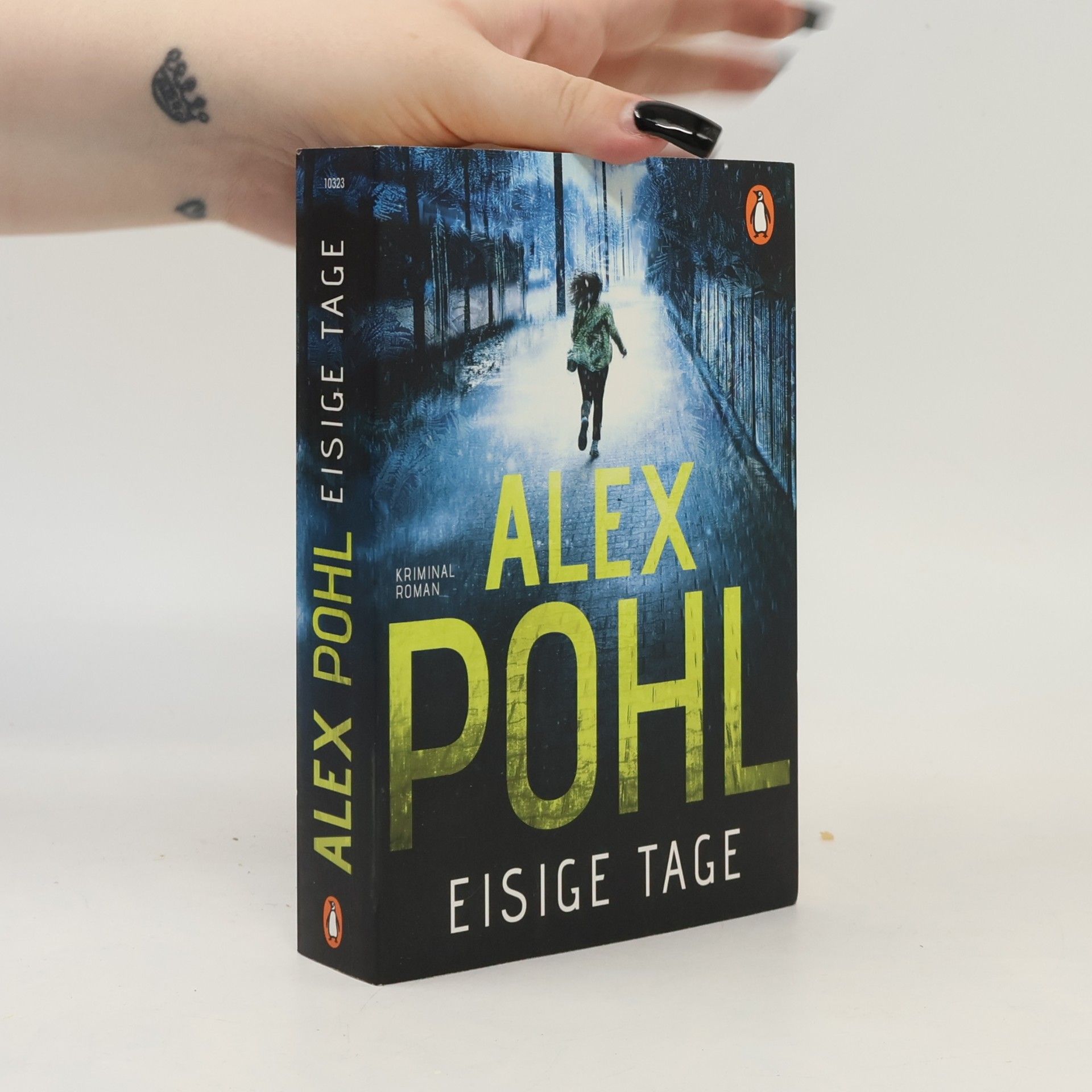 Alex Pohl Eisige Tage