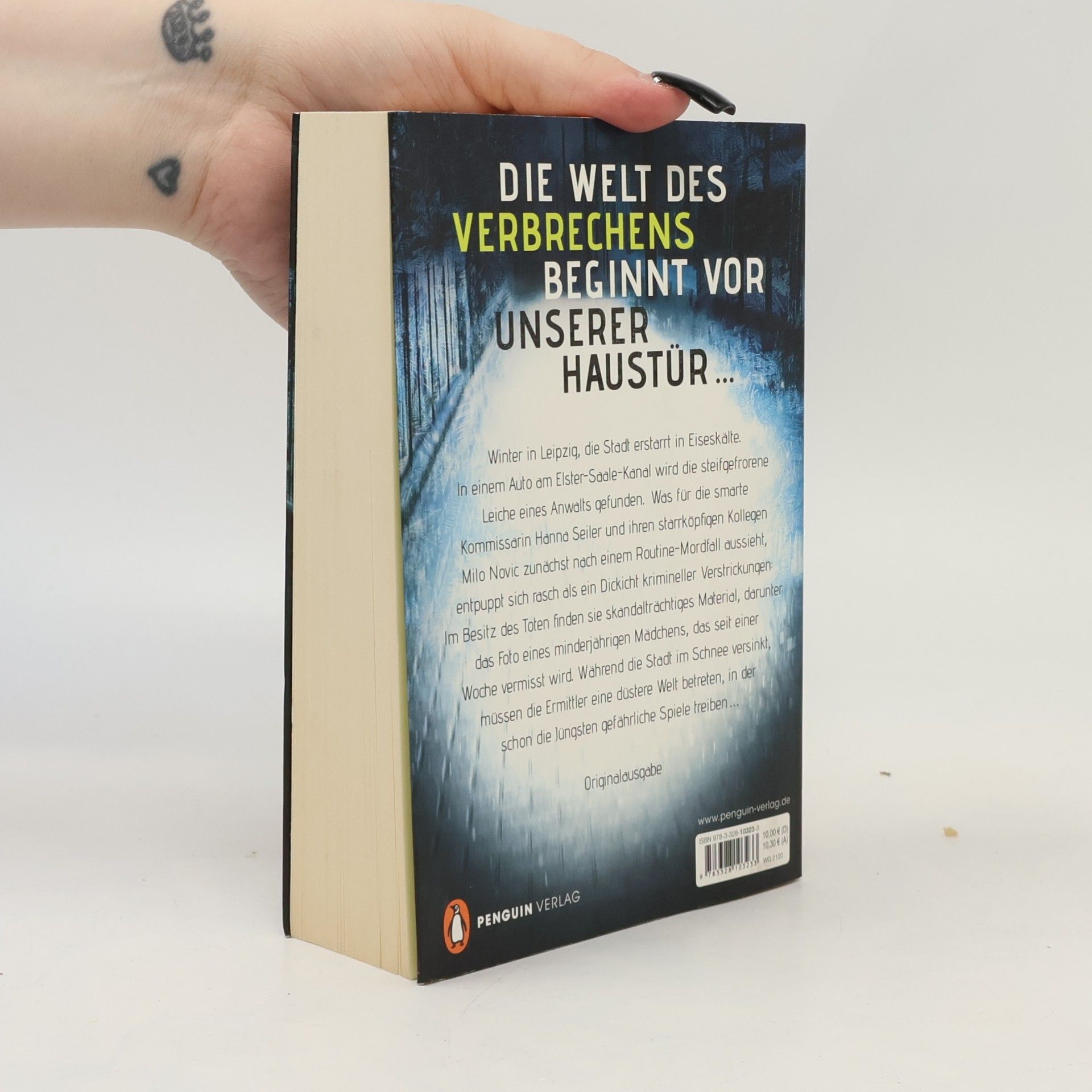 Alex Pohl Eisige Tage