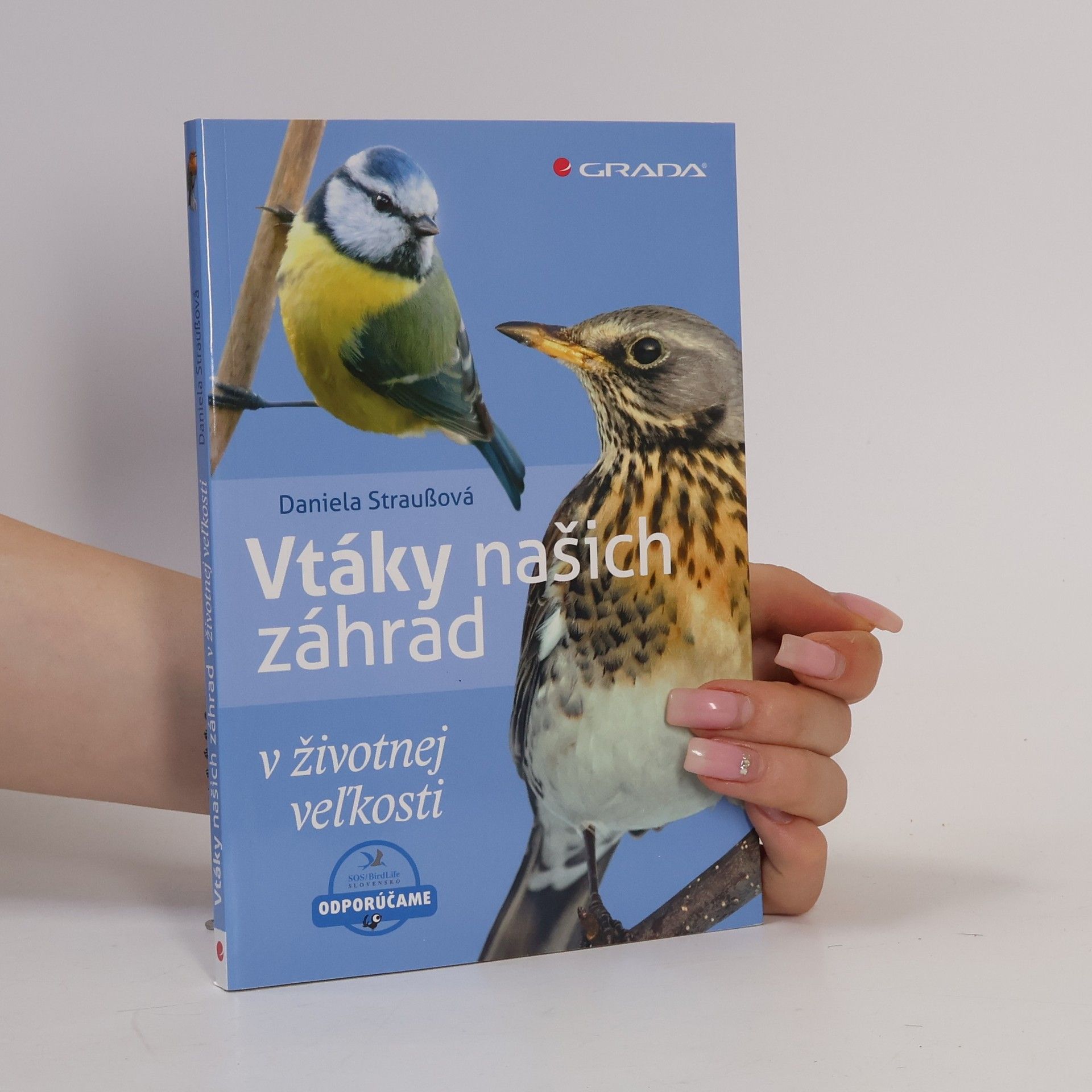 Daniela Strauß Vtáky našich záhrad v životnej veľkosti