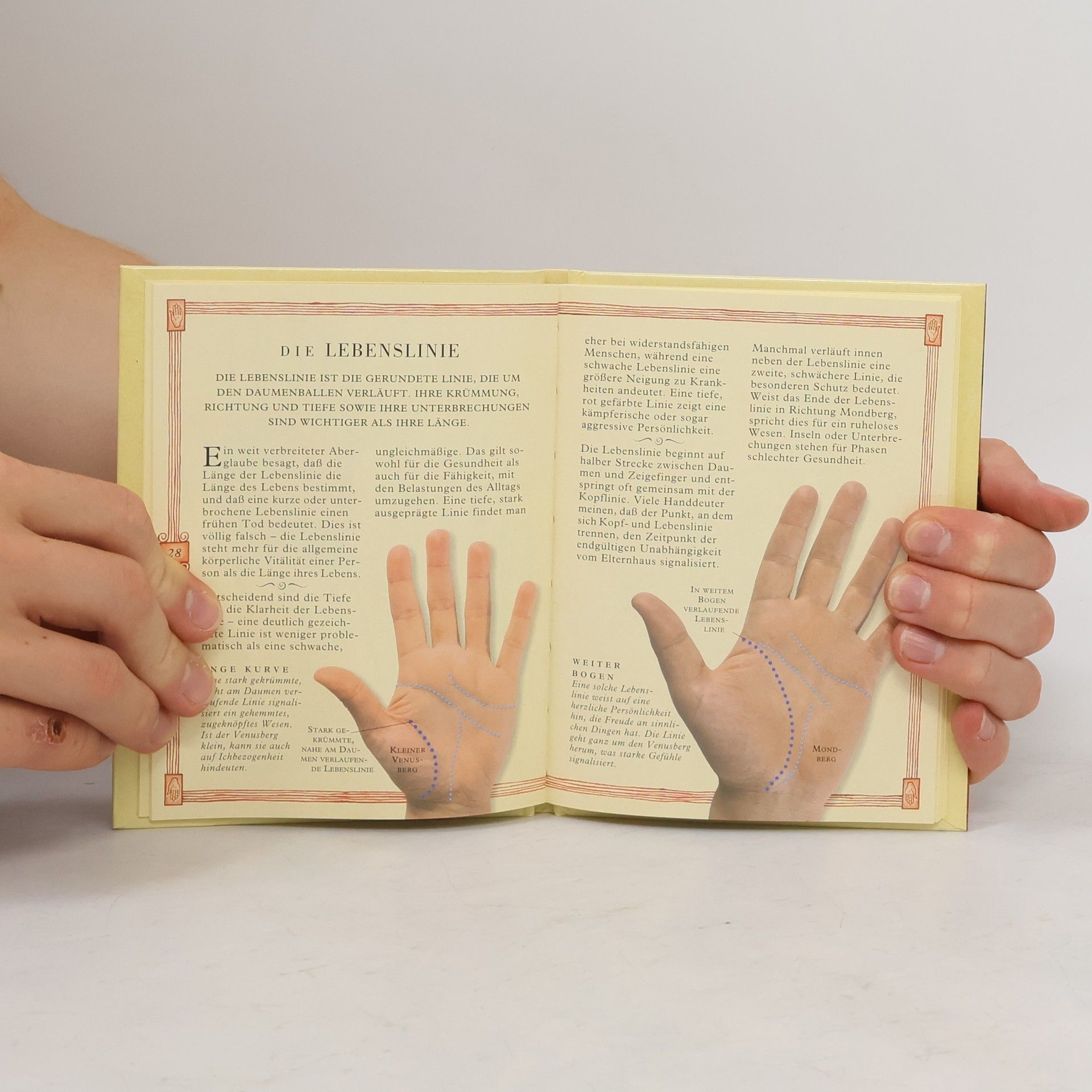 Handlinien - und was sie bedeuten