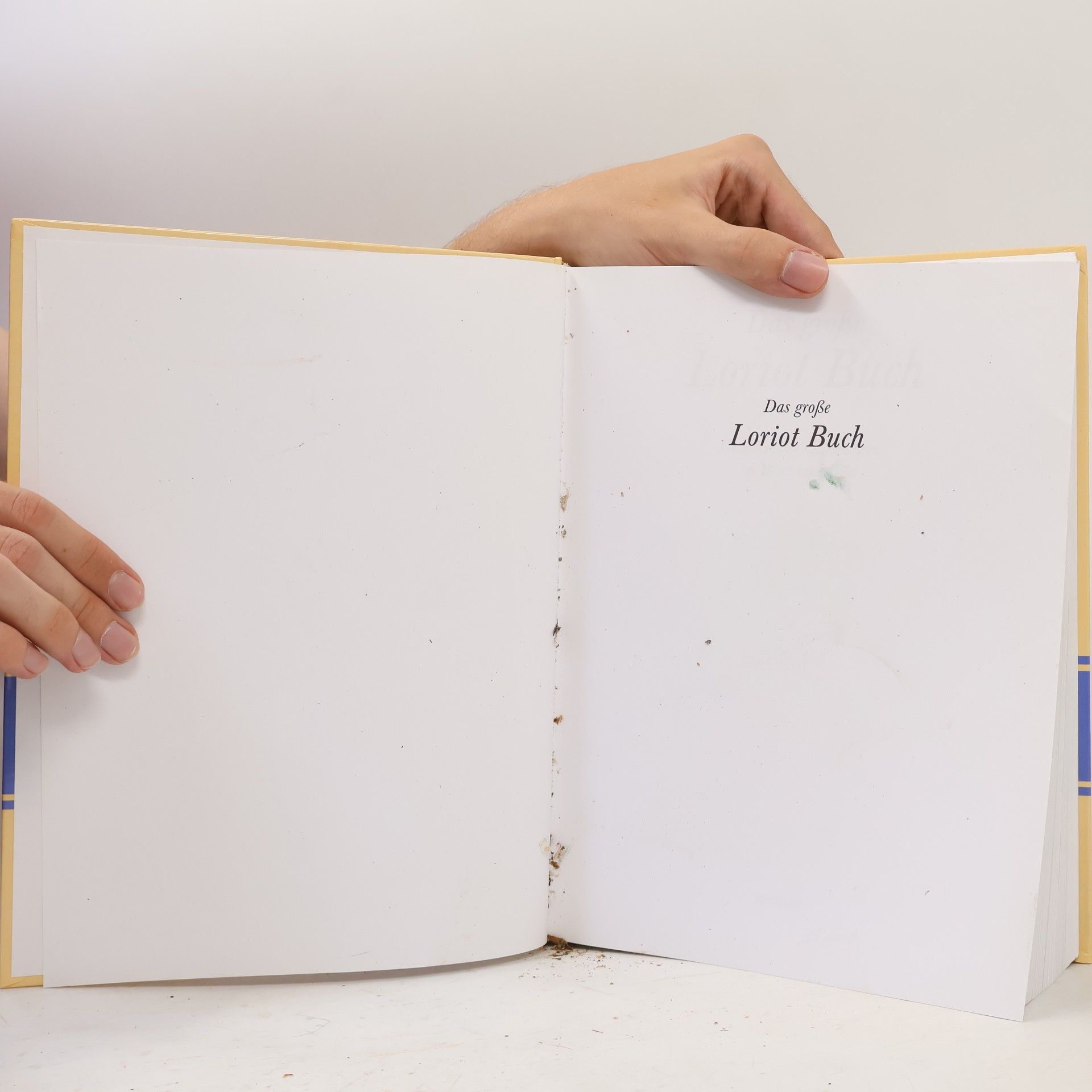 Loriot Das große Loriot-Buch