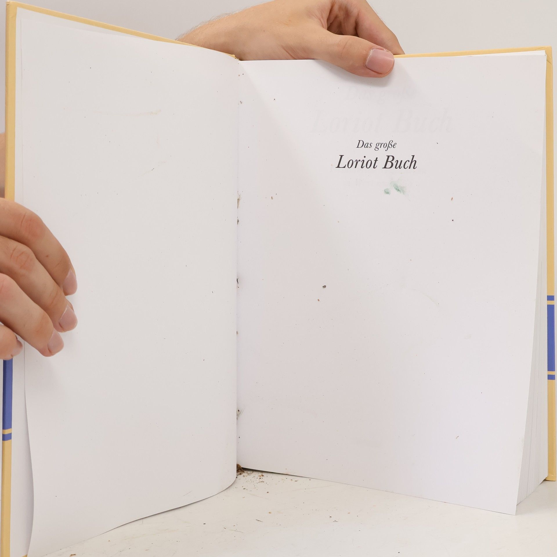 Loriot Das große Loriot-Buch
