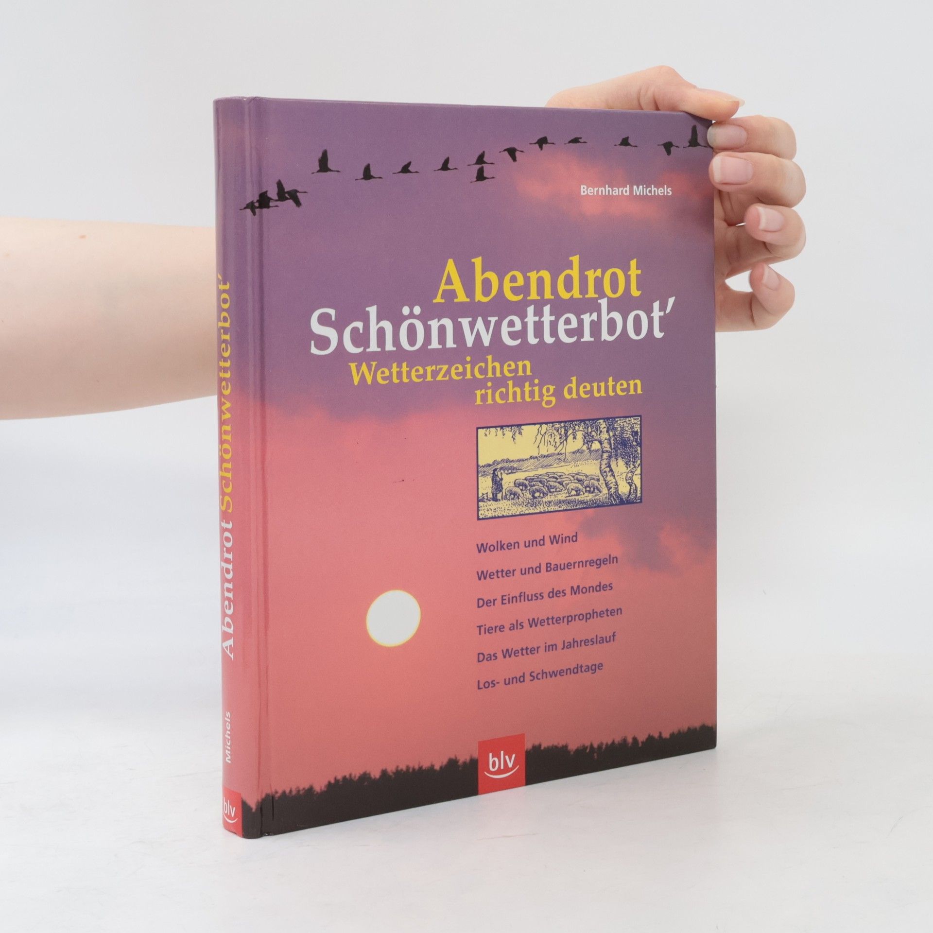 Bernhard Michels Abendrot Schönwetterbot'