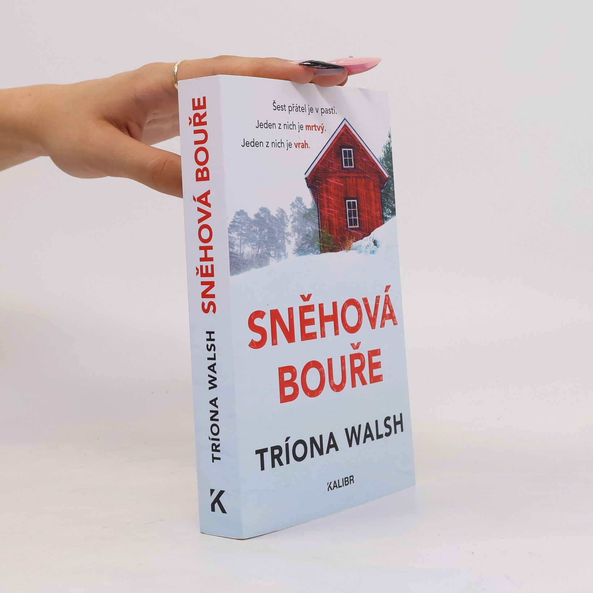 Tríona Walsh Sněhová bouře