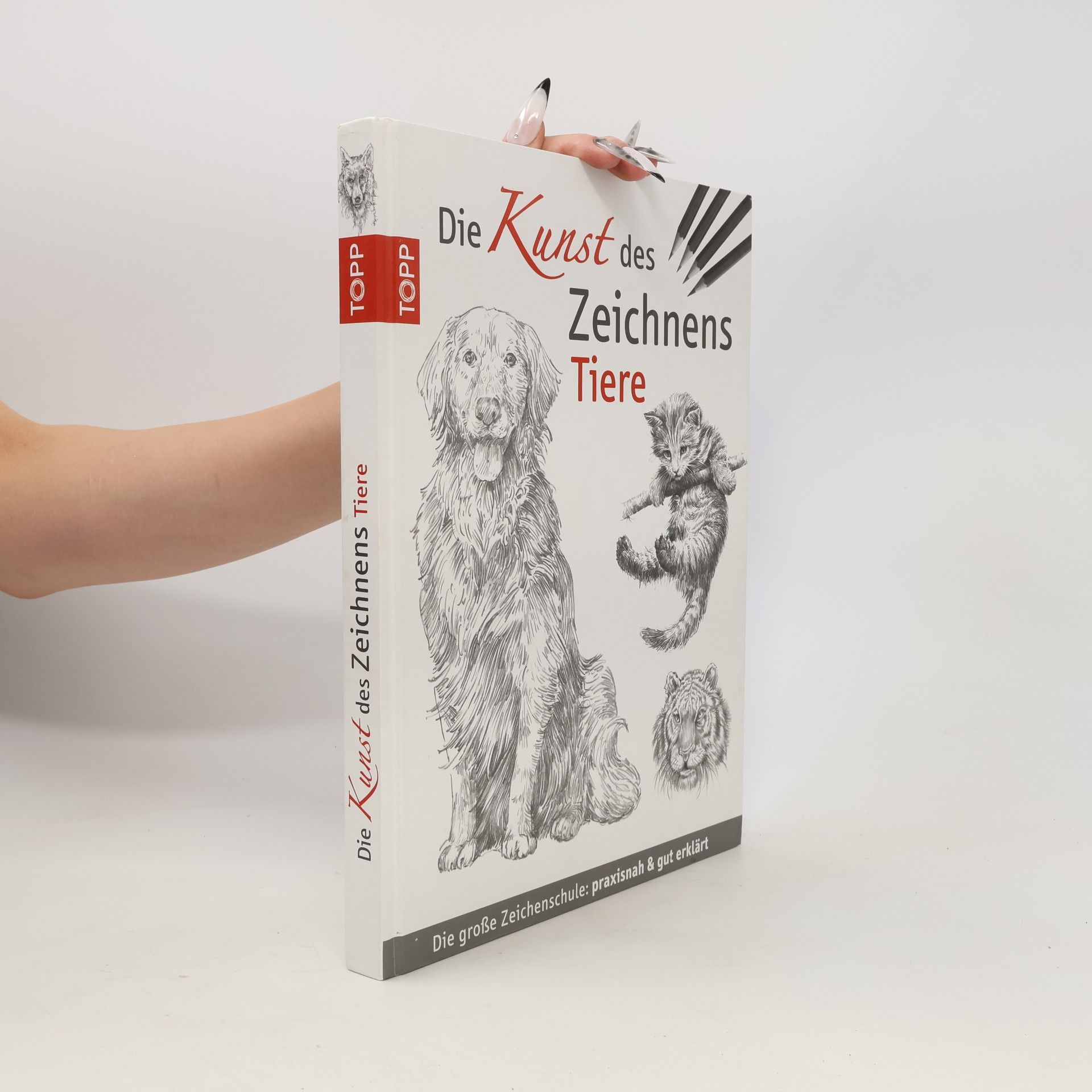 Autorenkollektiv Die Kunst des Zeichnens - Tiere