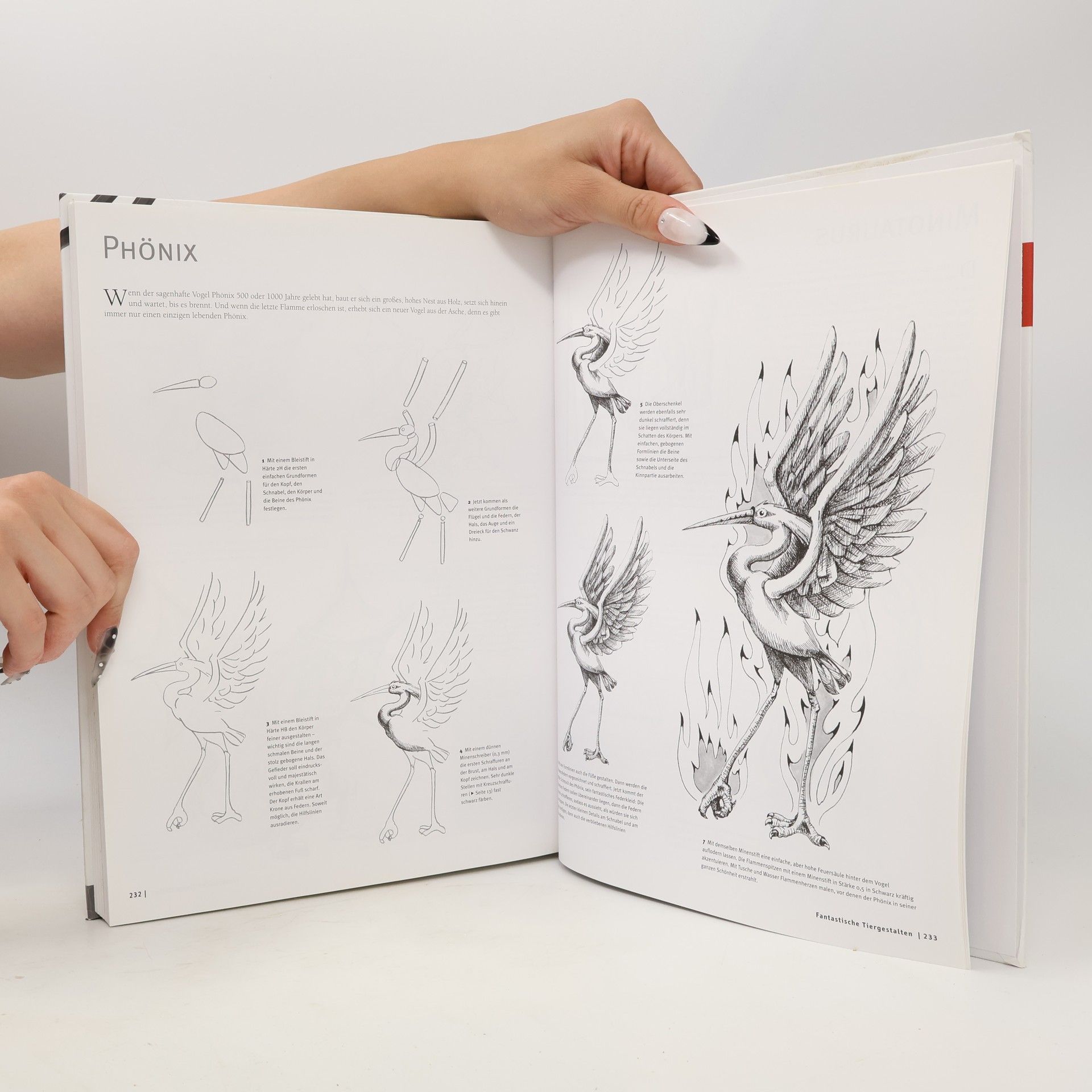 Die Kunst des Zeichnens - Tiere