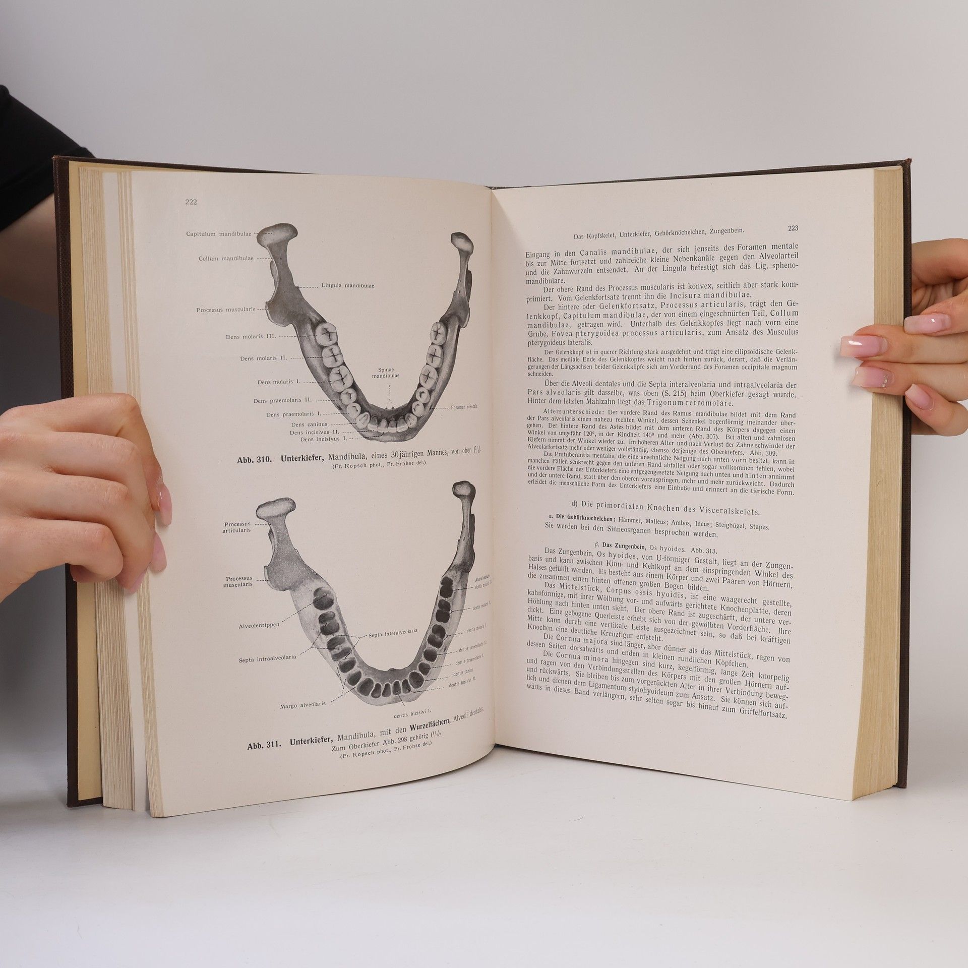 Friedrich Kopsch Lehrbuch und Atlas der Anatomie des Menschen