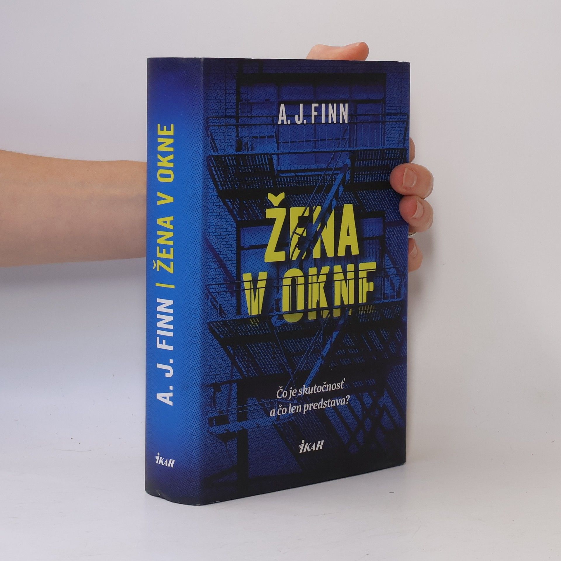 Daniel Mallory Žena v okne