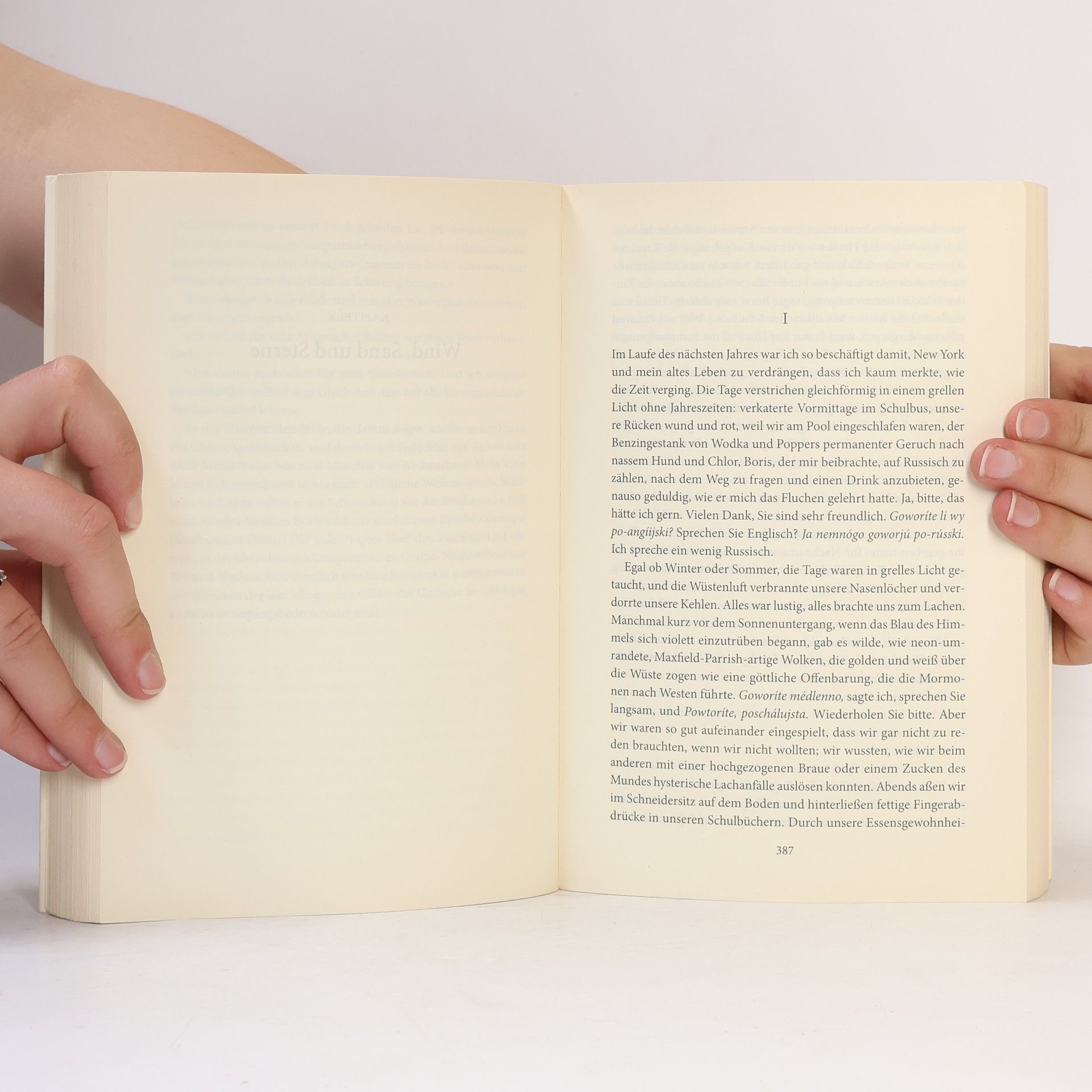 Donna Tartt Der Distelfink