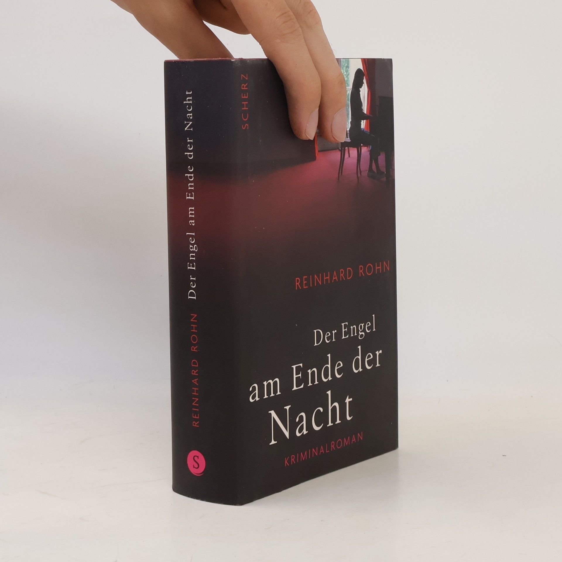 Reinhard Rohn Der Engel am Ende der Nacht