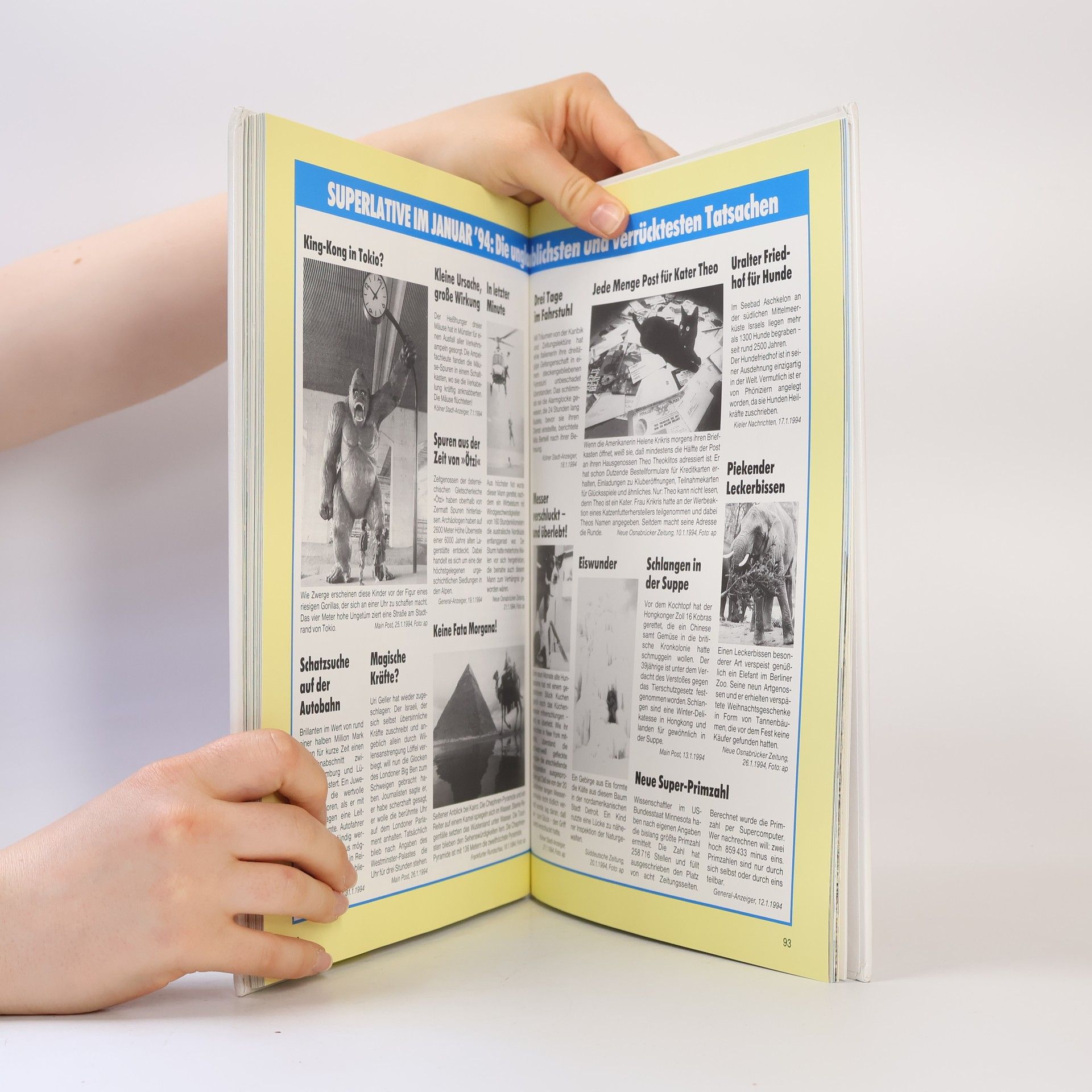 Treff Jugendbuch 1995