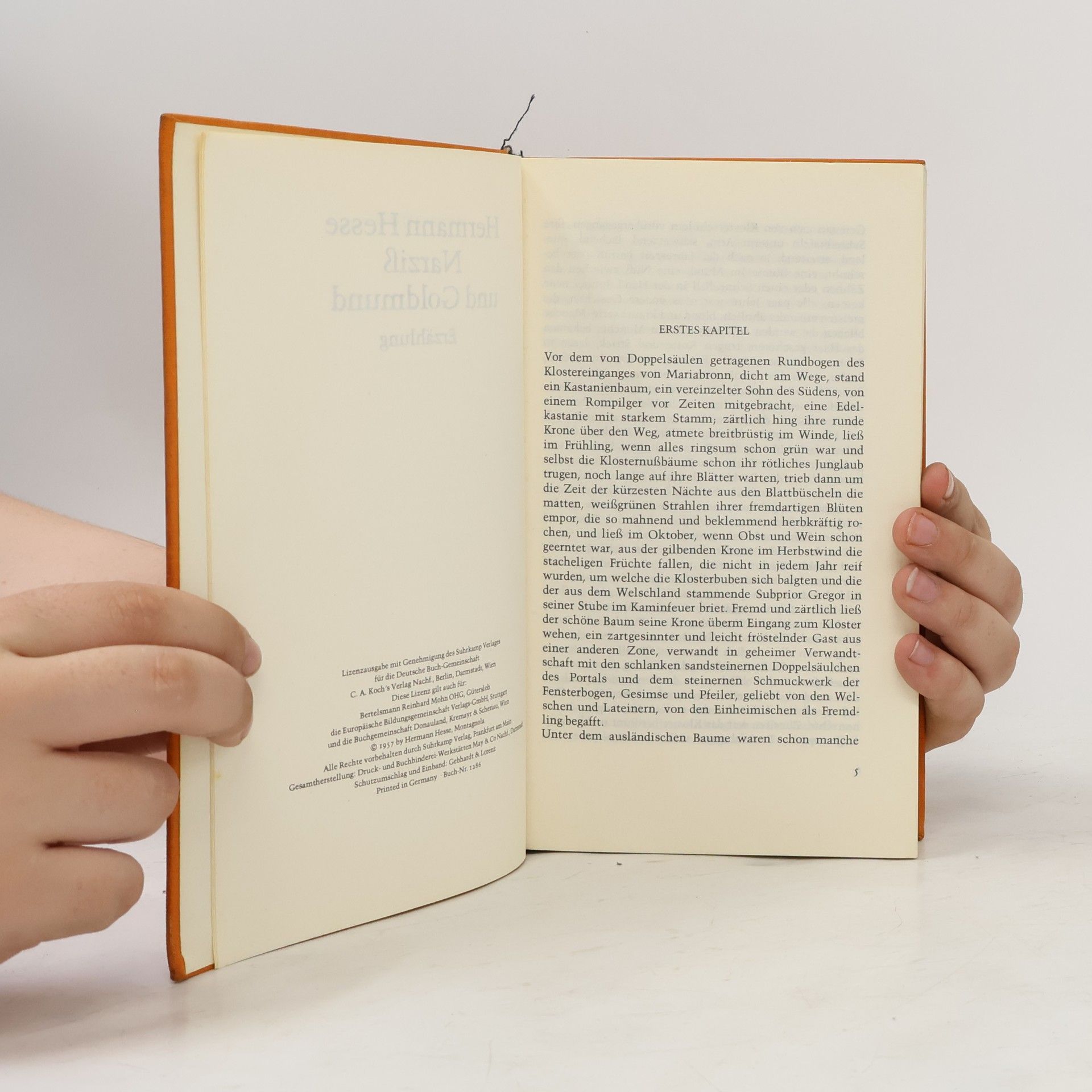 Hermann Hesse Narziss und Goldmund