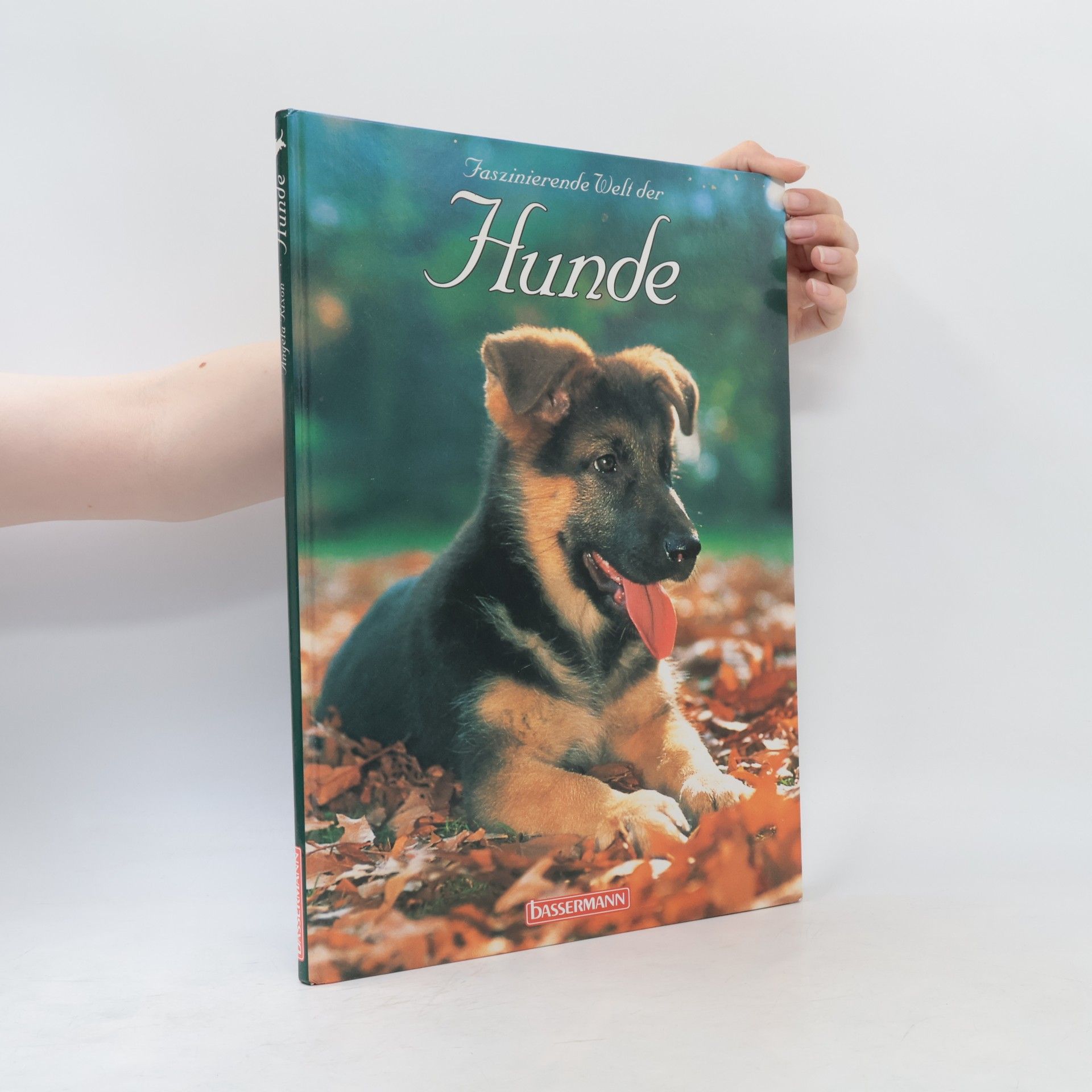Angela Rixon Faszinierende Welt der Hunde