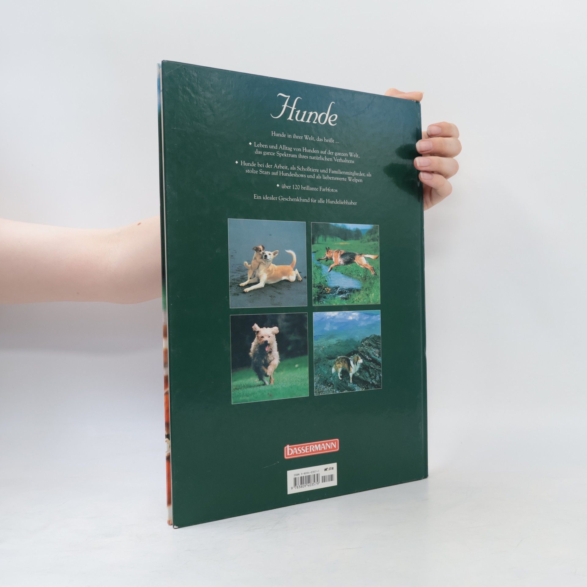 Angela Rixon Faszinierende Welt der Hunde
