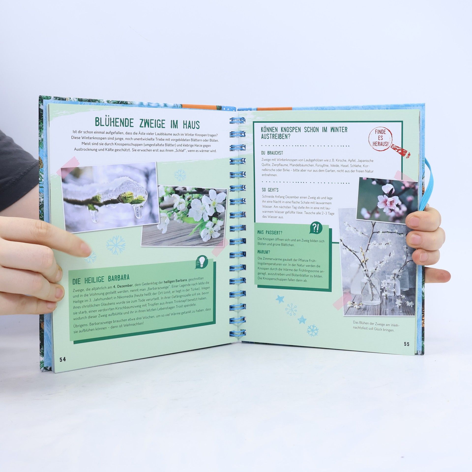 Anita van Saan Expedition Natur: Das große Winterbuch