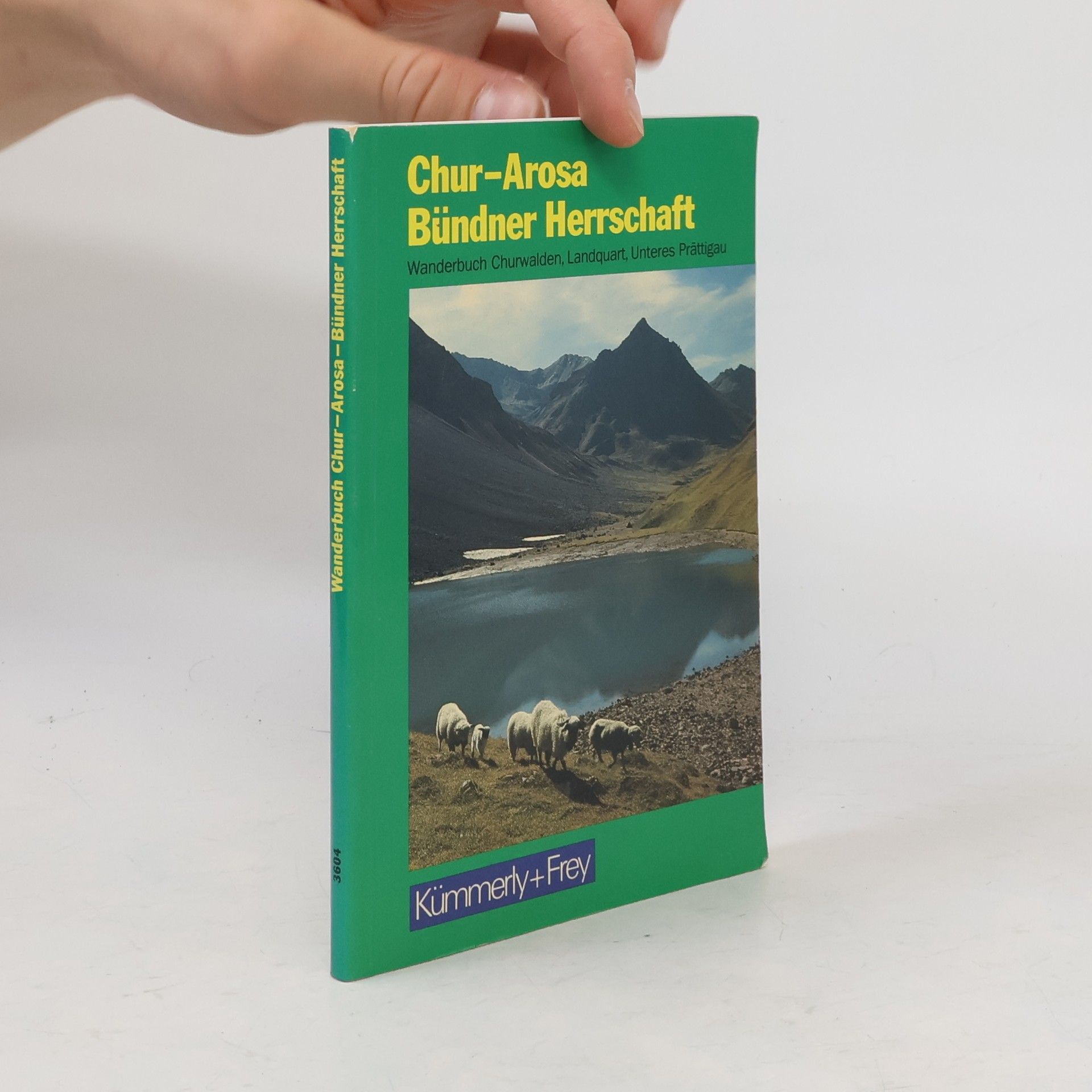 Auteurscollectief Chur-Arosa Bündner Herrschaft