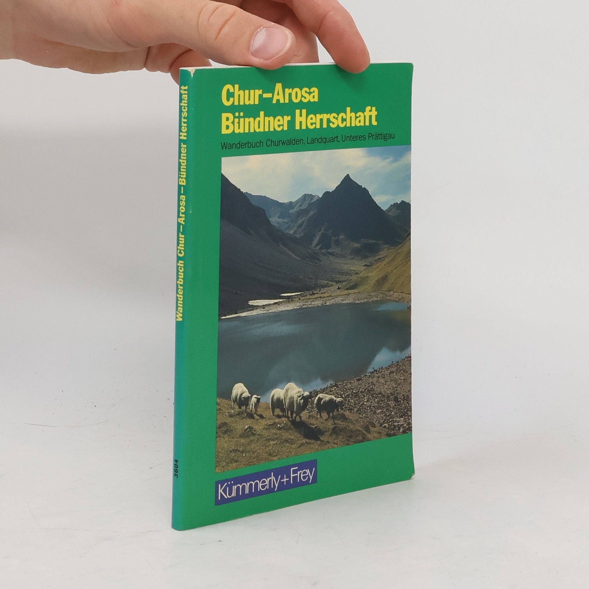 Auteurscollectief Chur-Arosa Bündner Herrschaft