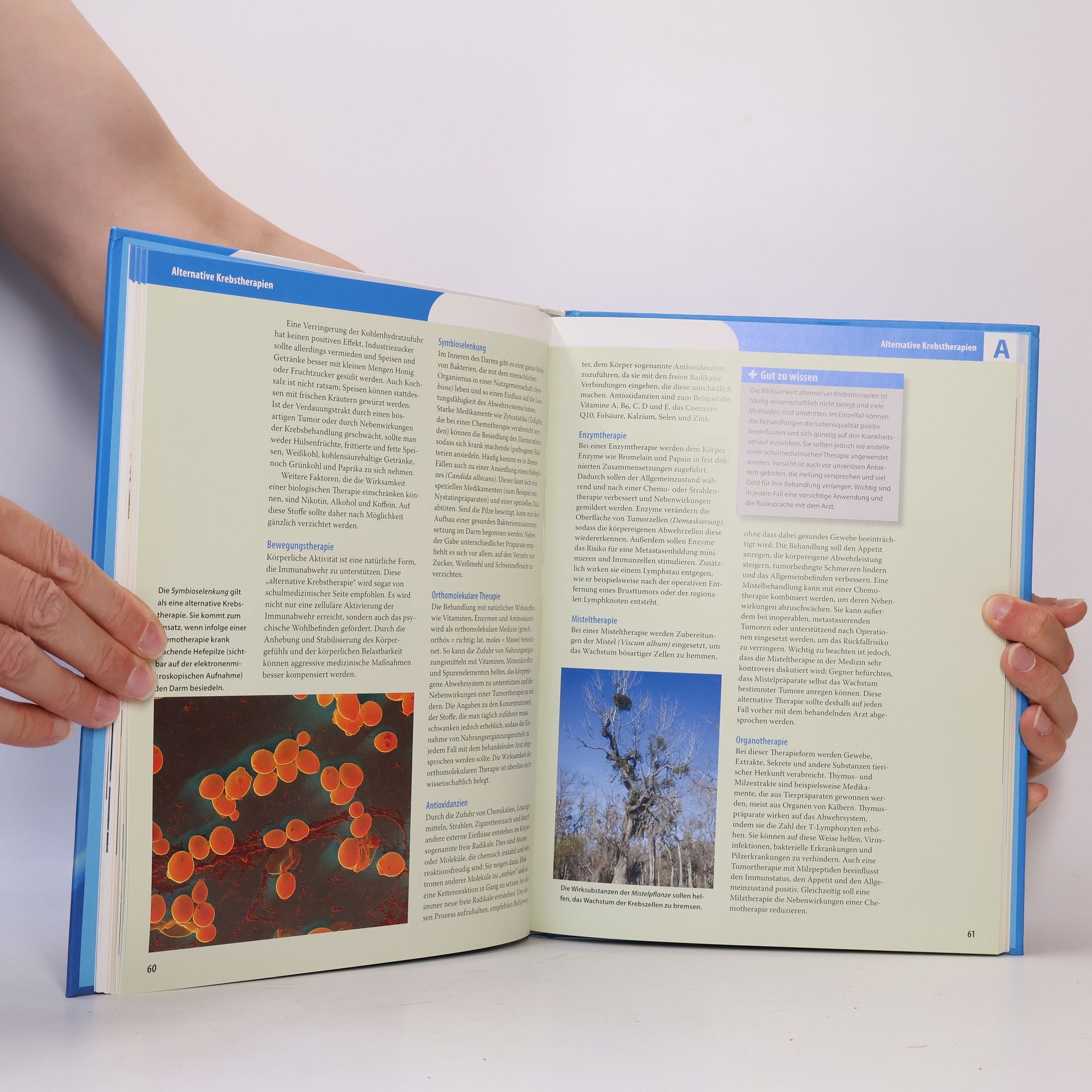 Julia Alkan Reader's-Digest-Lexikon Medizin und Gesundheit