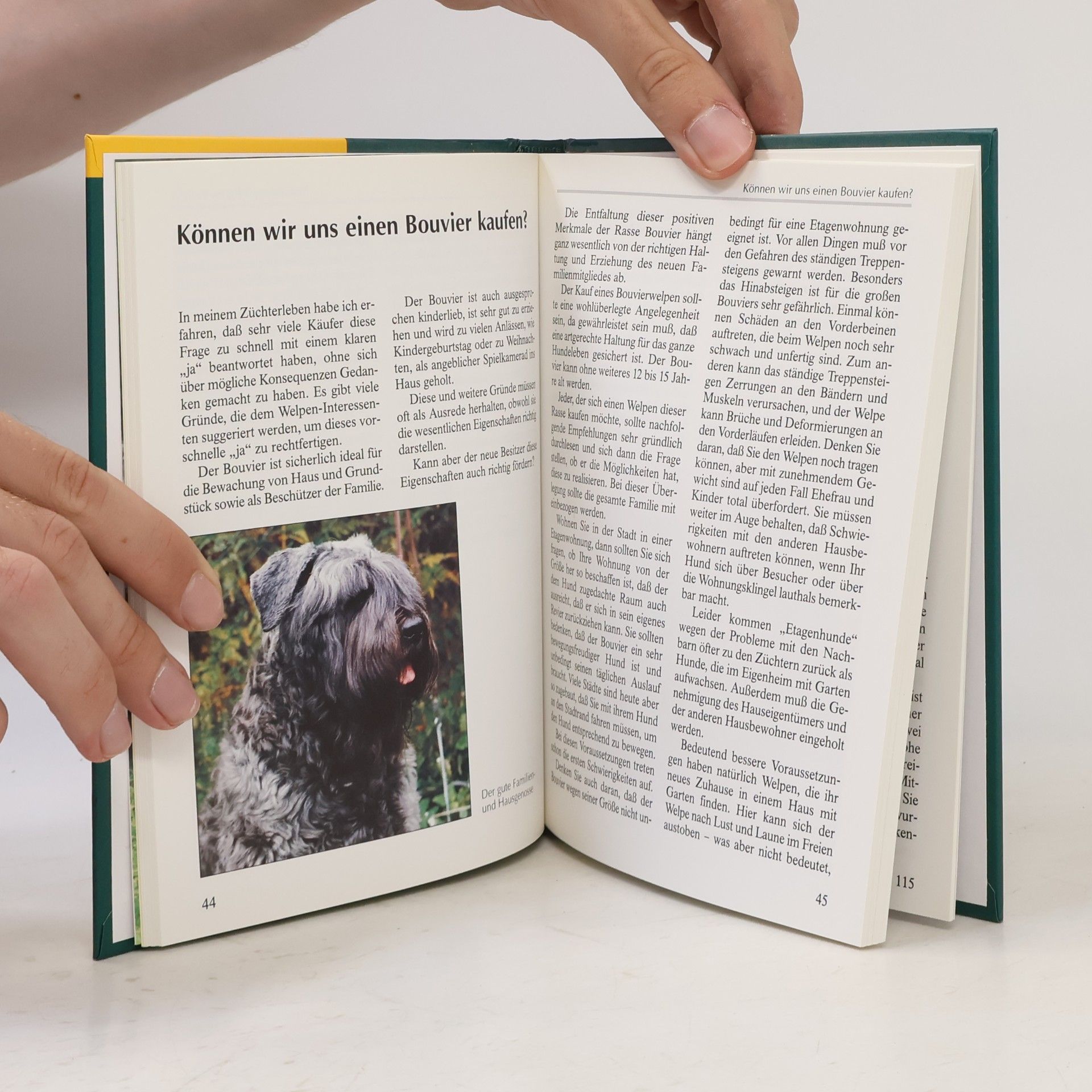 Joachim Gerhardt Bouvier des Flandres