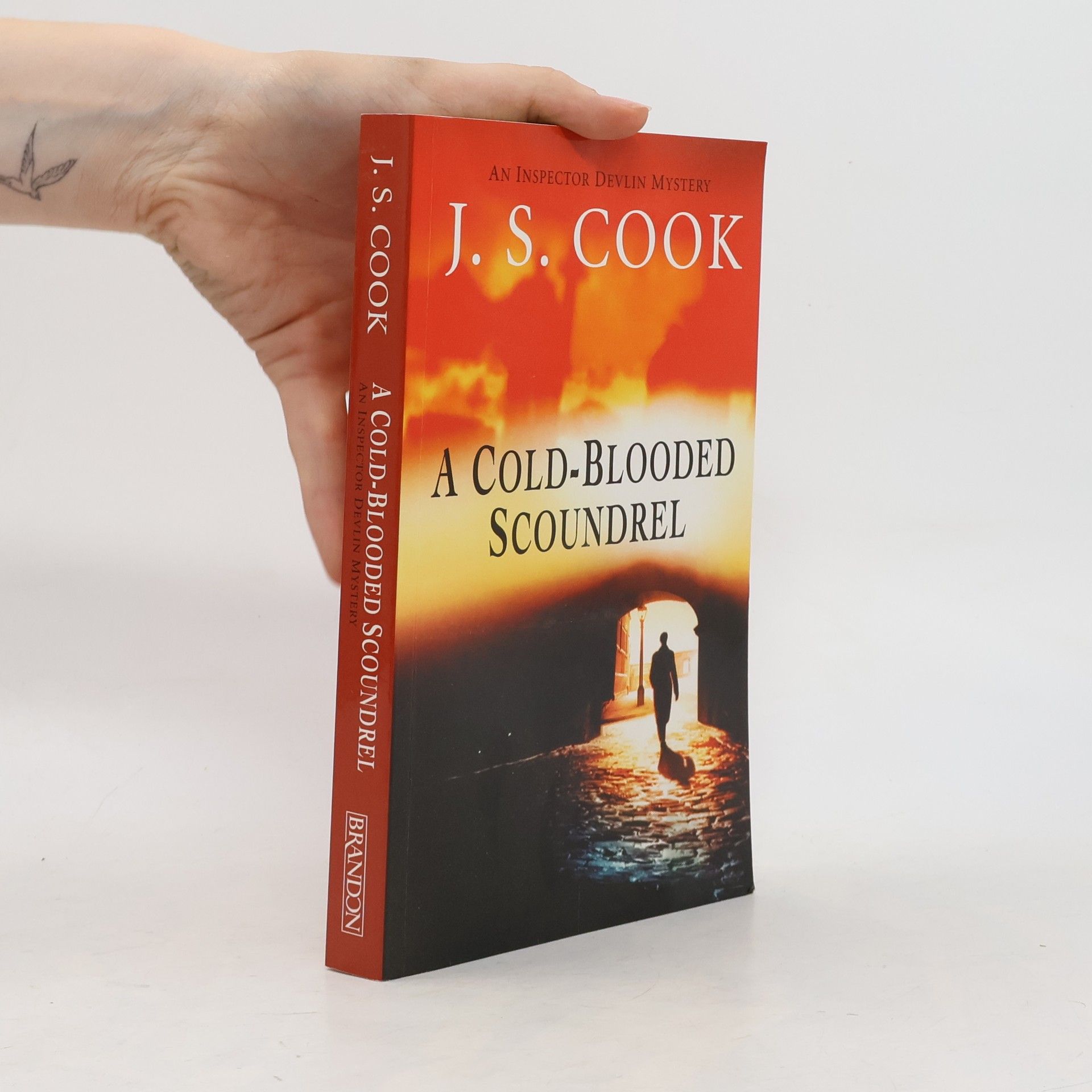 J. S. Cook An Inspector Devlin Mystery: A Cold-Blooded Scoundrel