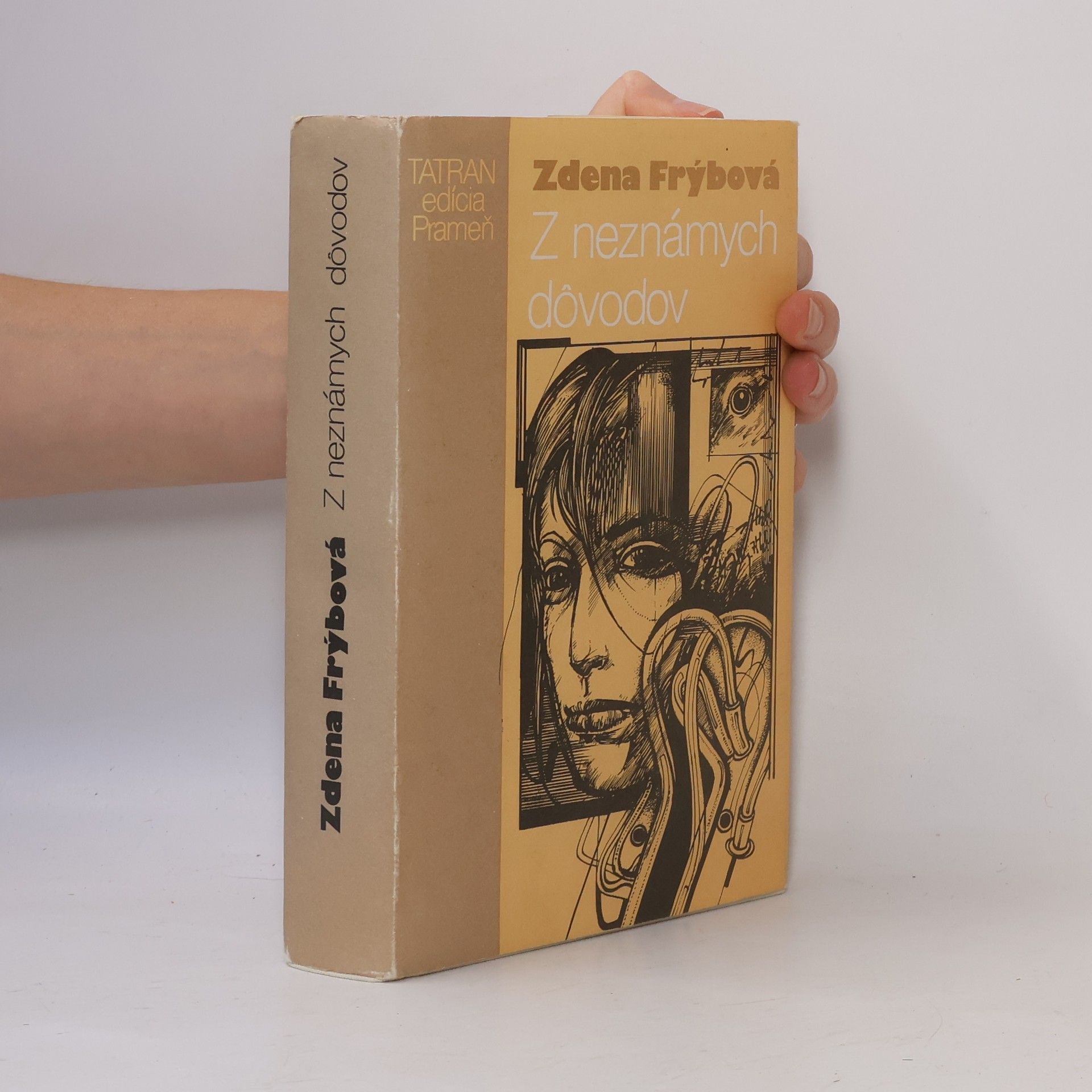 Zdena Frýbová Z neznámych dôvodov