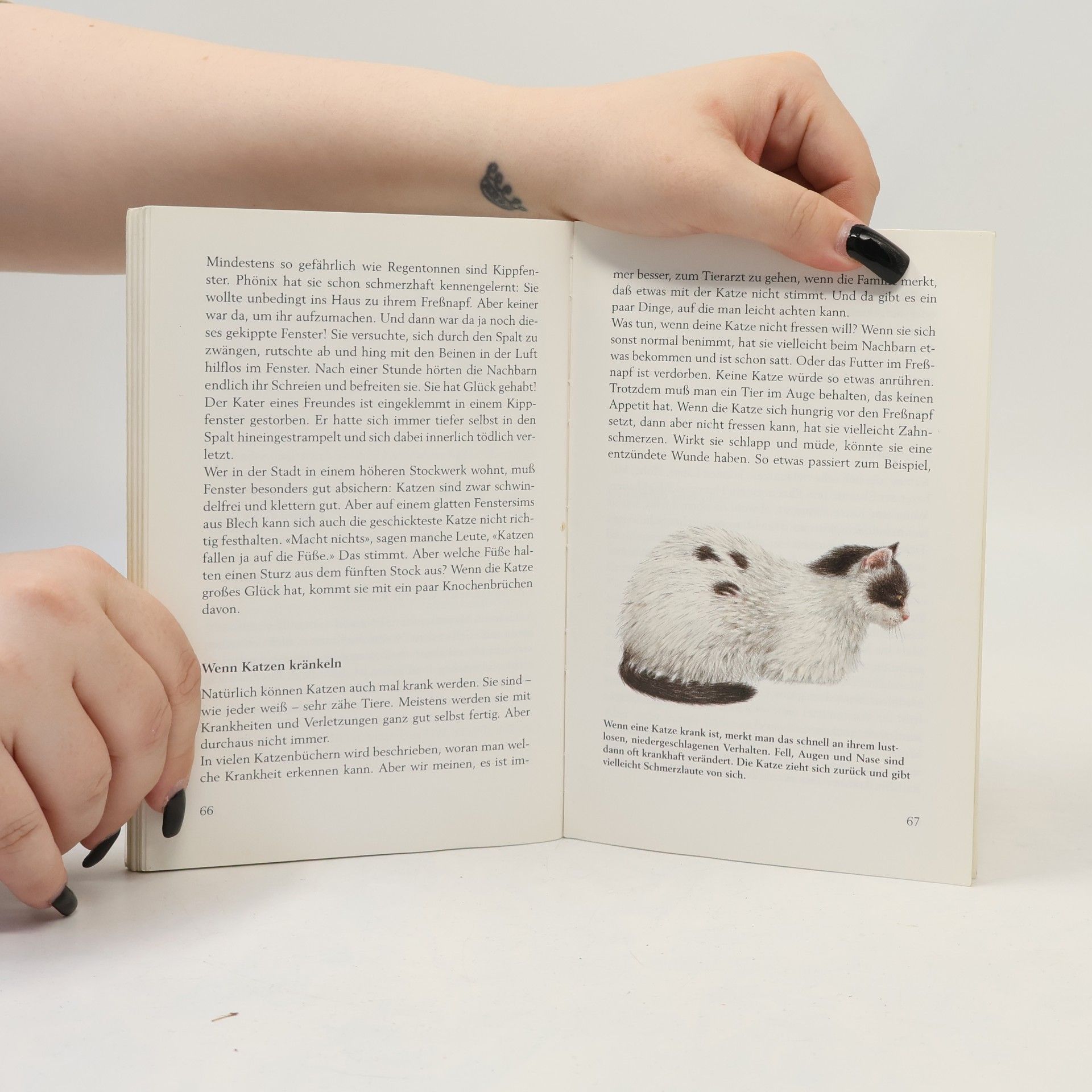 Claus-Peter Lieckfeld Meine Katze