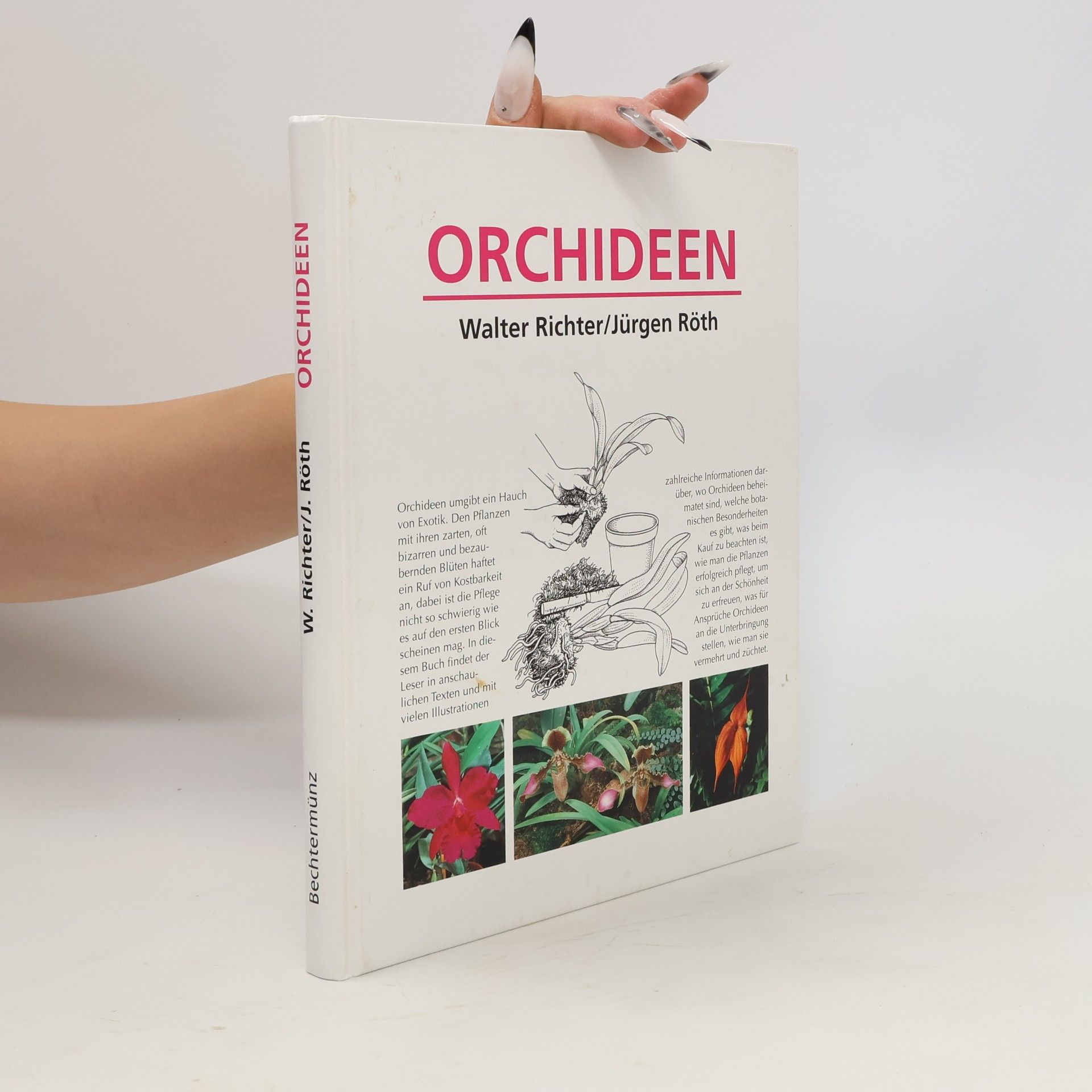 Walter Richter Orchideen