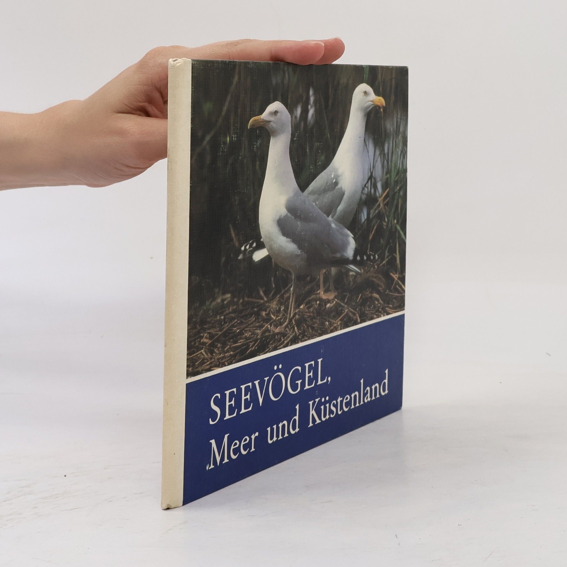 Autorenkollektiv Seevögel, Meer und Küstenland