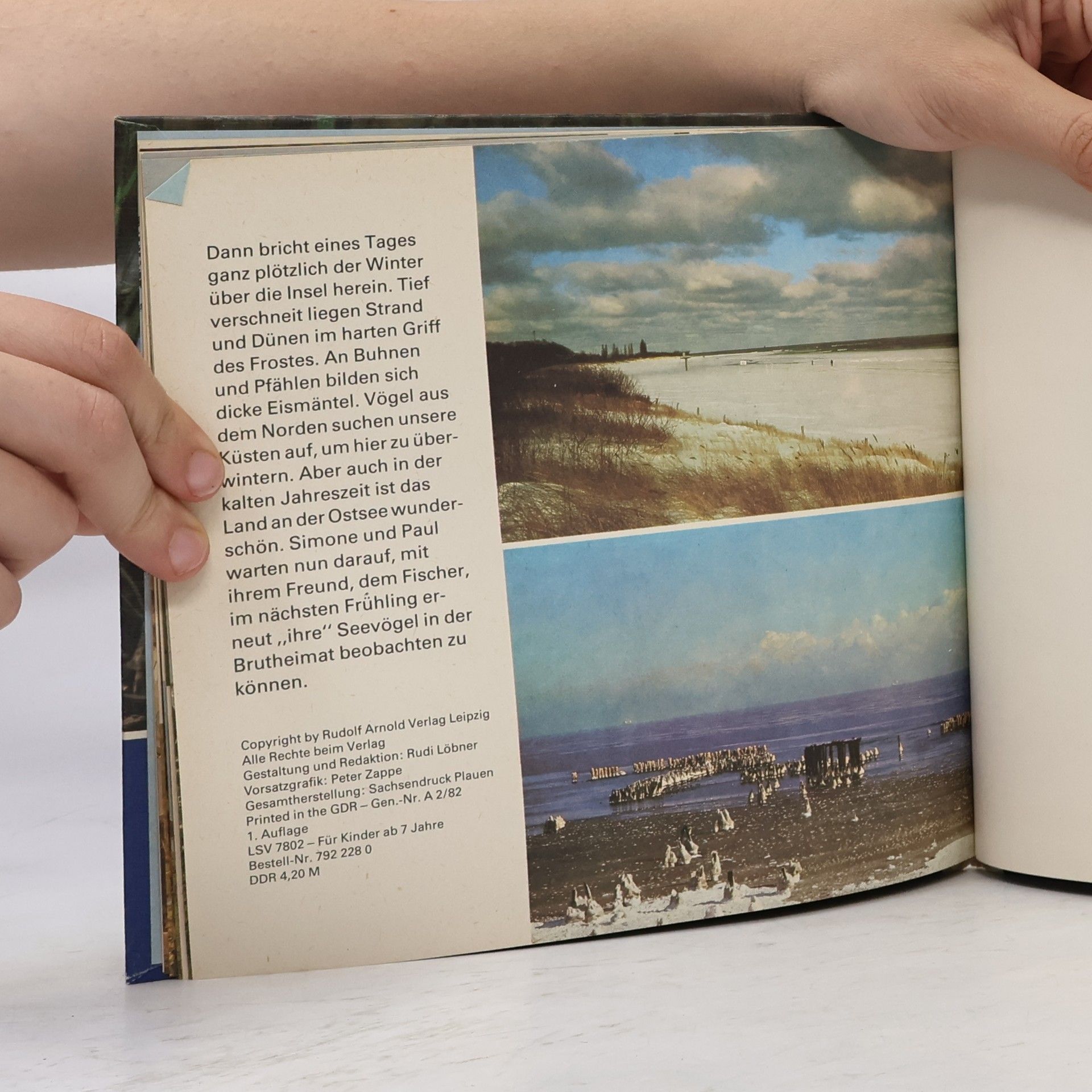 Autorenkollektiv Seevögel, Meer und Küstenland