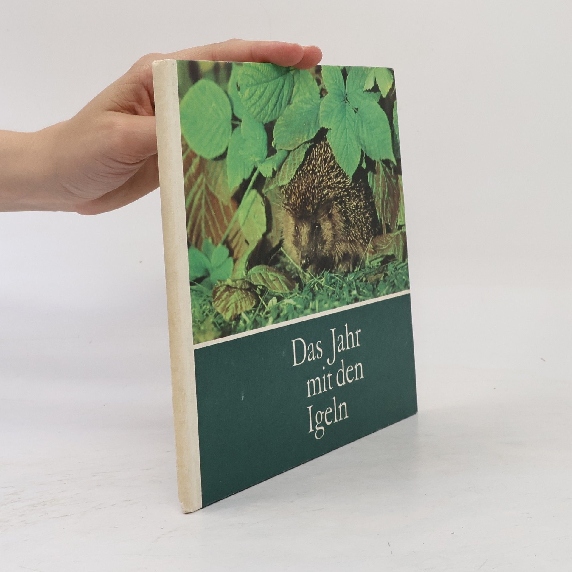 Autorenkollektiv Das Jahr mit den Igeln