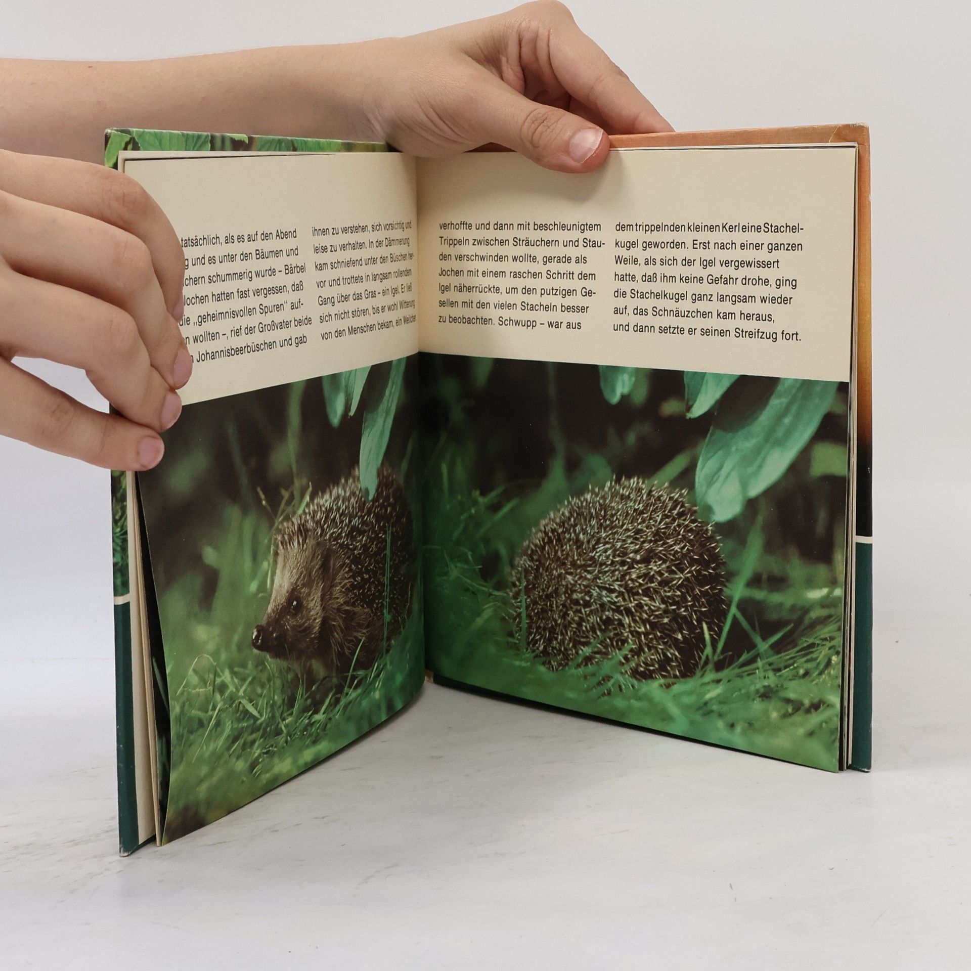 Autores varios Das Jahr mit den Igeln