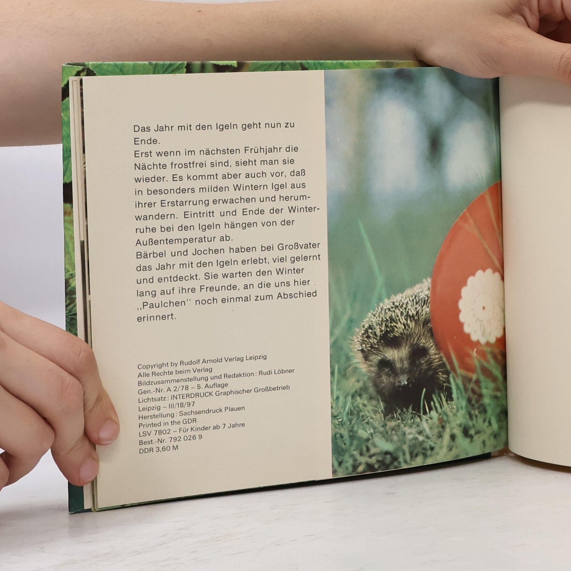 Autores varios Das Jahr mit den Igeln