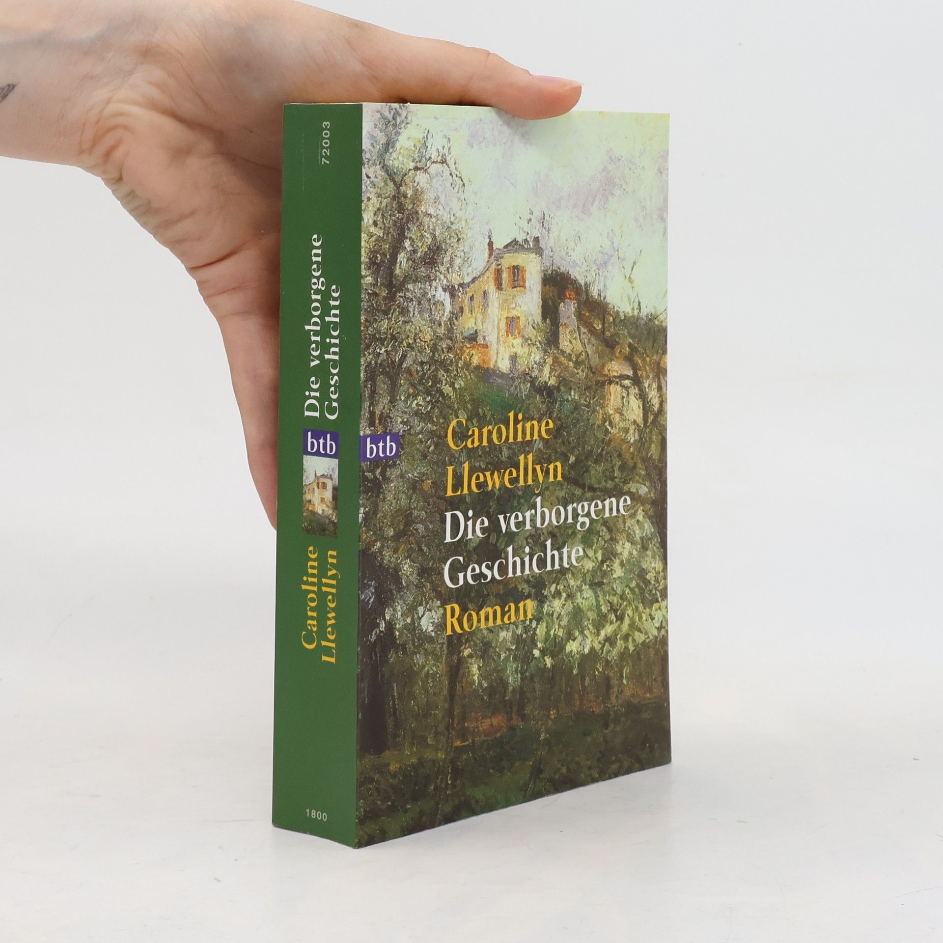 Caroline Llewellyn Die verborgene Deschichte