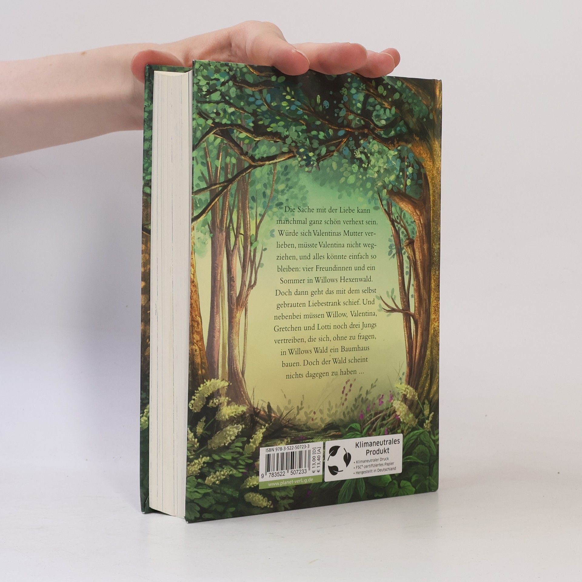 Sabine Bohlmann Ein Mädchen namens Willow. Waldgeflüster